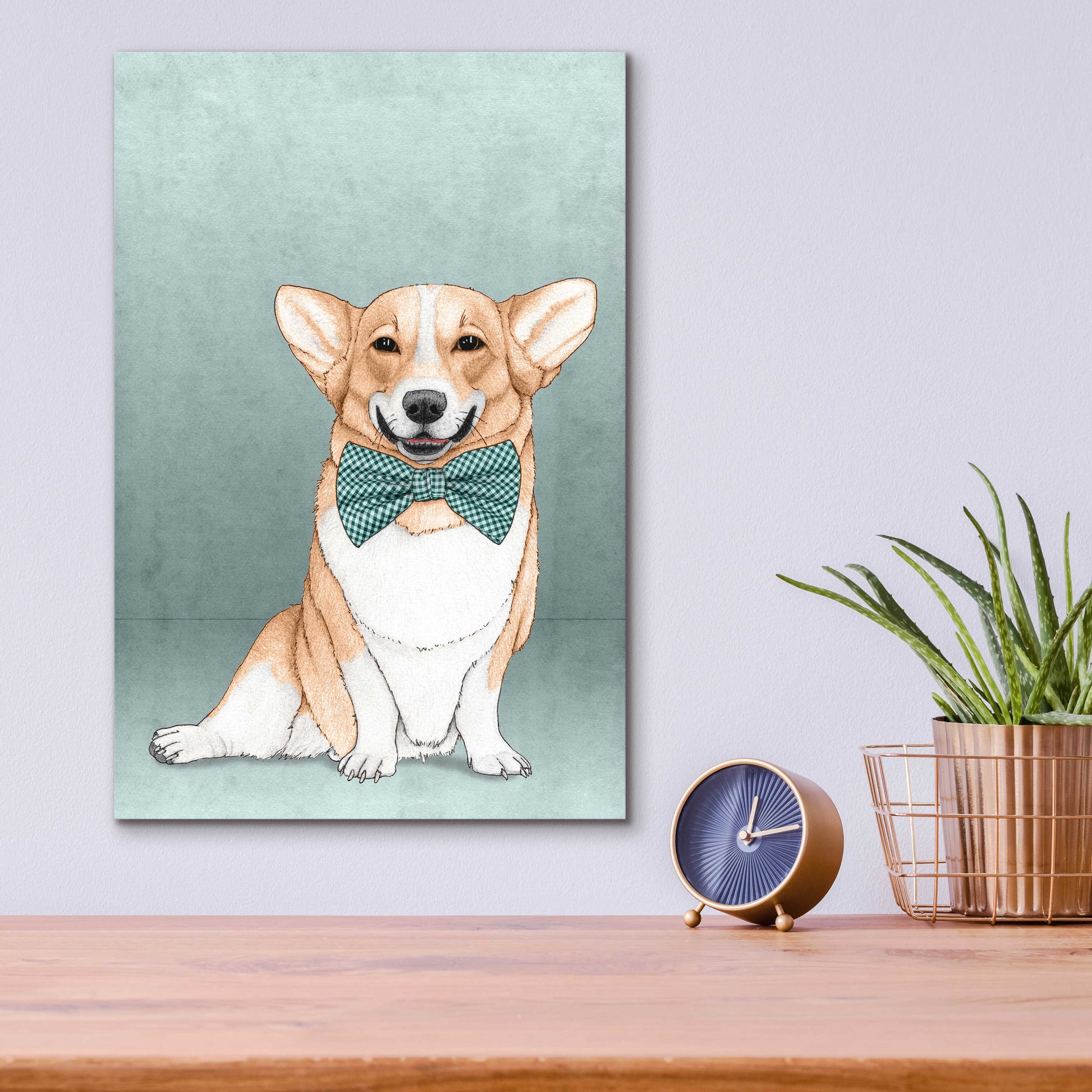 Epic Art 'Corgi Dog' by Barruf Acrylic Glass Wall Art,12x16