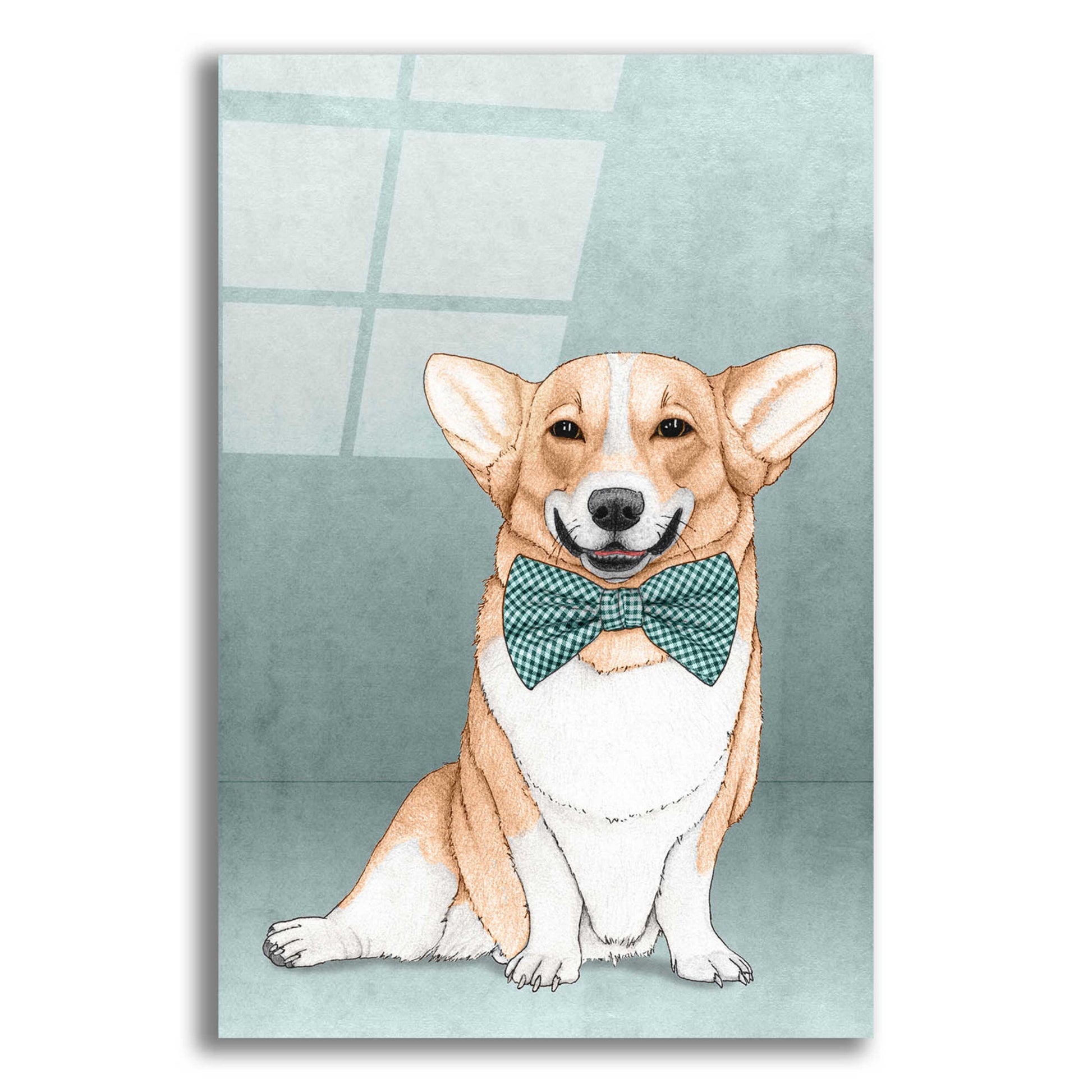 Epic Art 'Corgi Dog' by Barruf Acrylic Glass Wall Art,12x16