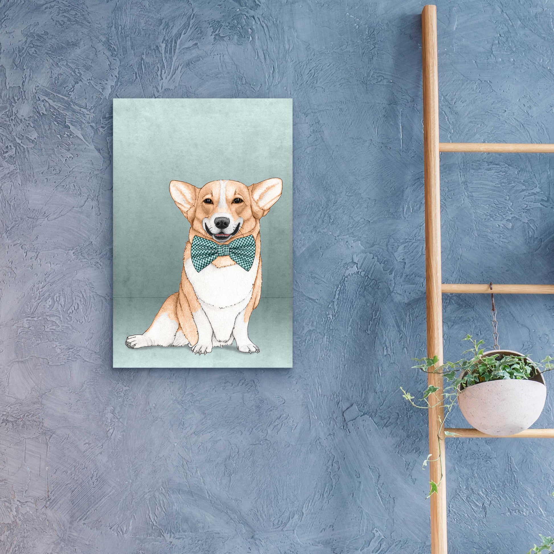 Epic Art 'Corgi Dog' by Barruf Acrylic Glass Wall Art,16x24