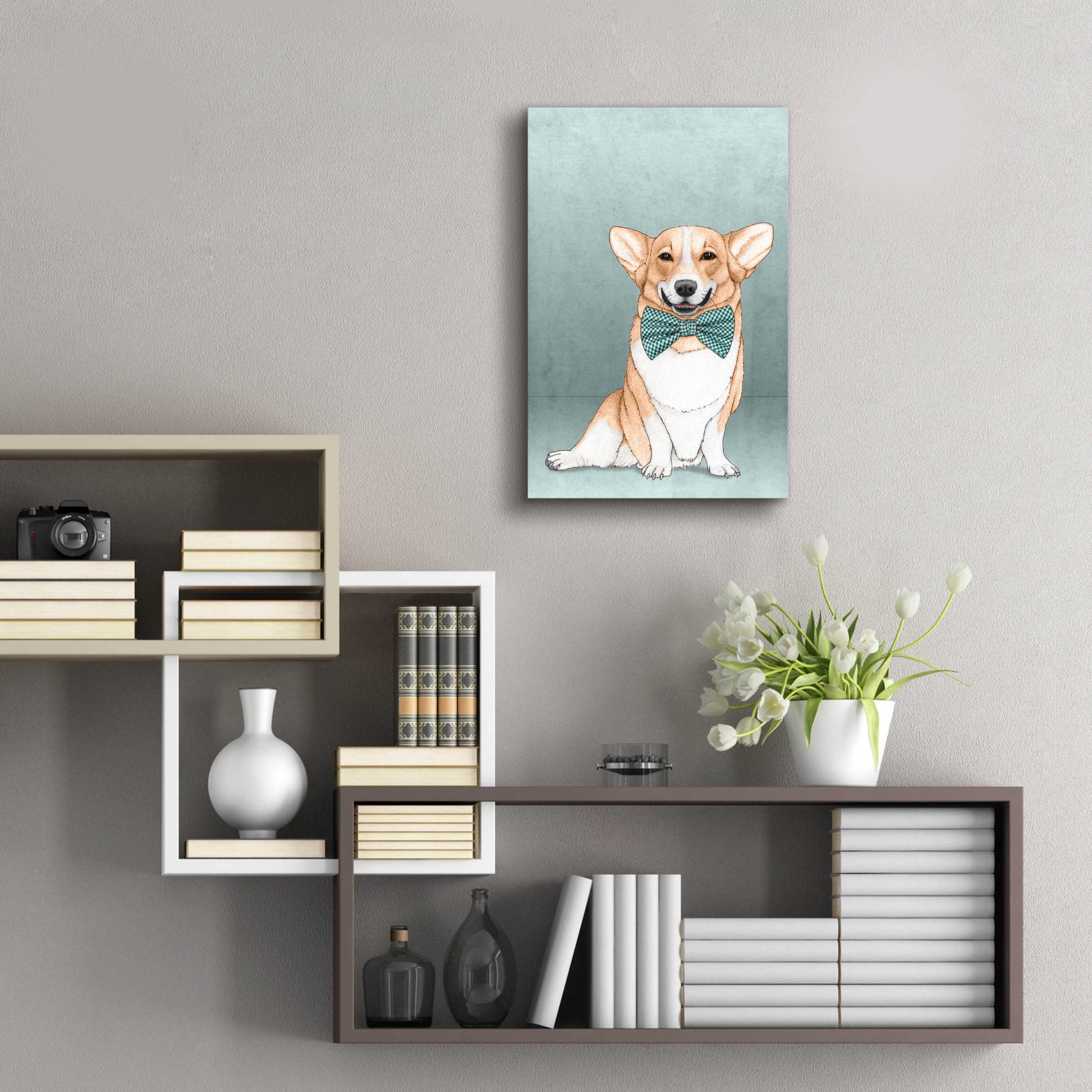 Epic Art 'Corgi Dog' by Barruf Acrylic Glass Wall Art,16x24