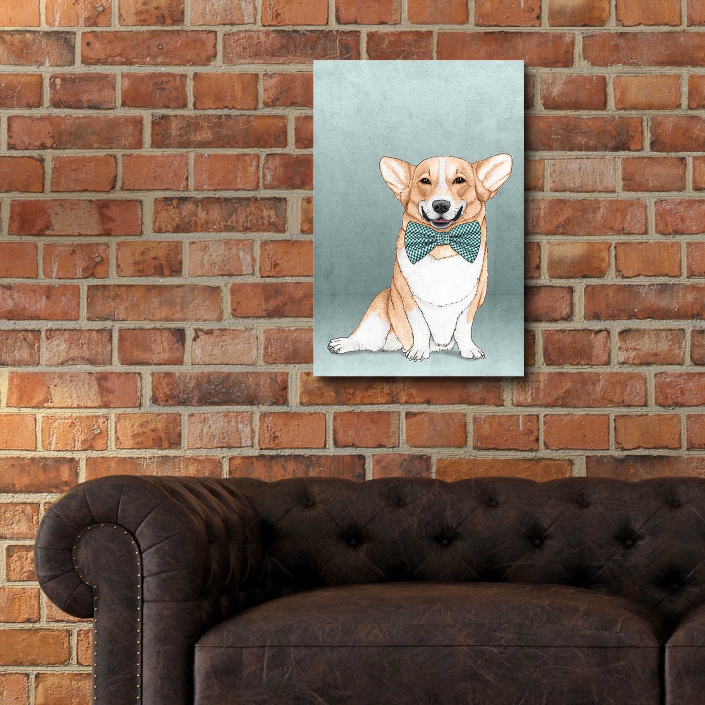 Epic Art 'Corgi Dog' by Barruf Acrylic Glass Wall Art,16x24