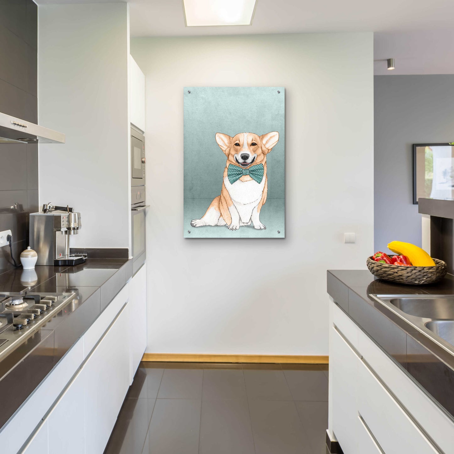 Epic Art 'Corgi Dog' by Barruf Acrylic Glass Wall Art,24x36