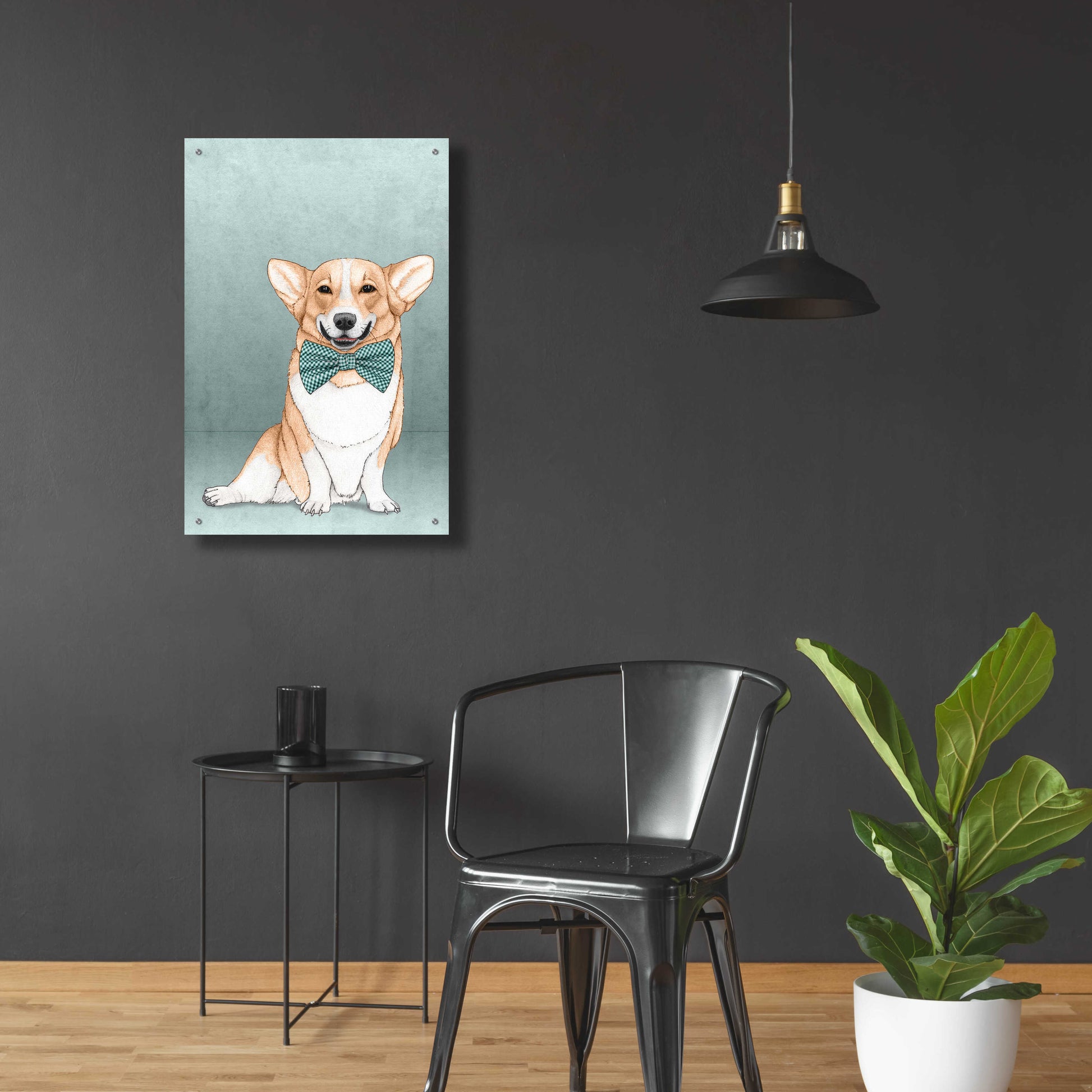 Epic Art 'Corgi Dog' by Barruf Acrylic Glass Wall Art,24x36