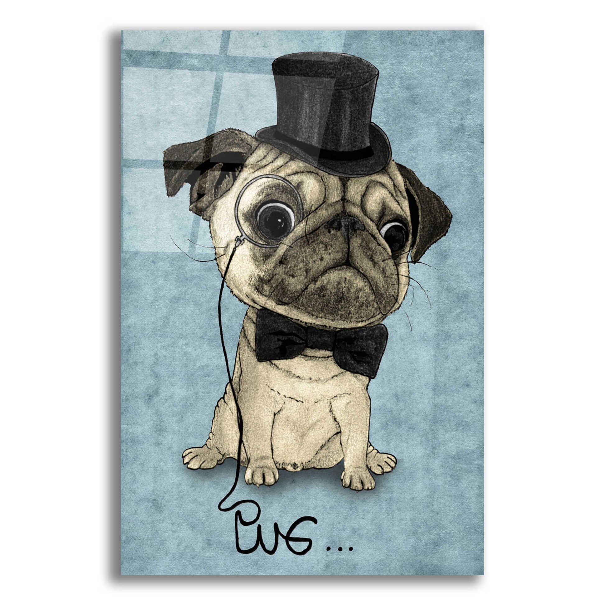 Epic Art 'Gentle Pug' by Barruf Acrylic Glass Wall Art,12x16