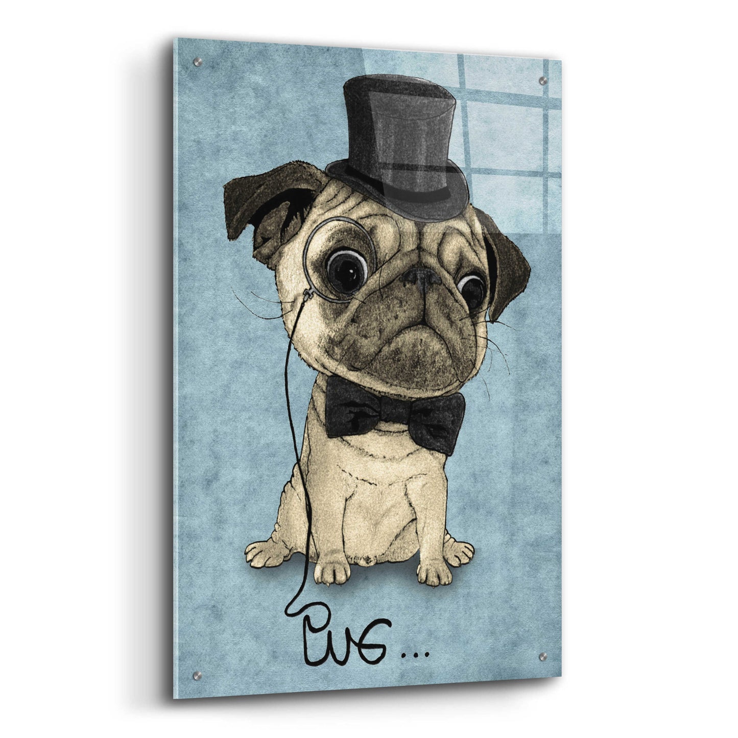 Epic Art 'Gentle Pug' by Barruf Acrylic Glass Wall Art,24x36