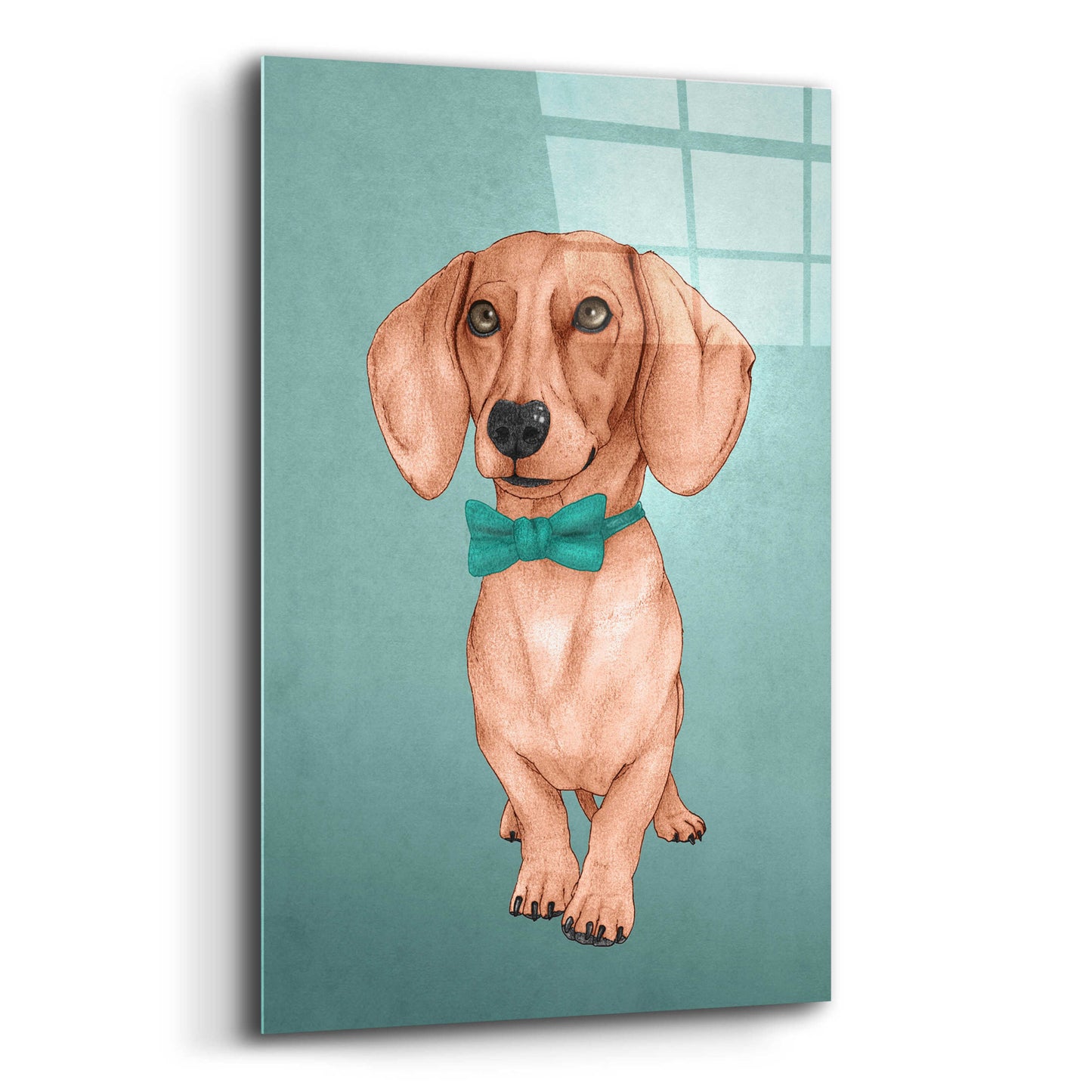 Epic Art 'The Wiener Dog' by Barruf Acrylic Glass Wall Art,12x16