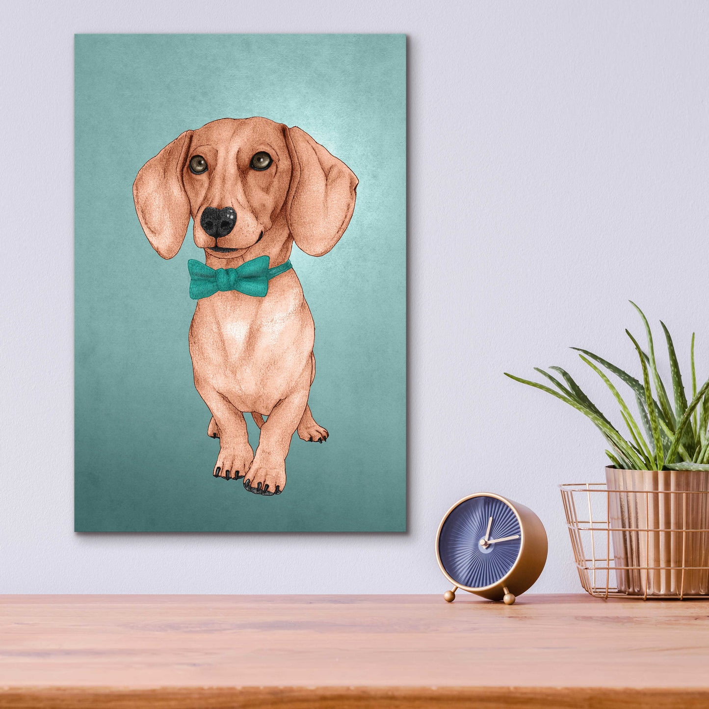 Epic Art 'The Wiener Dog' by Barruf Acrylic Glass Wall Art,12x16