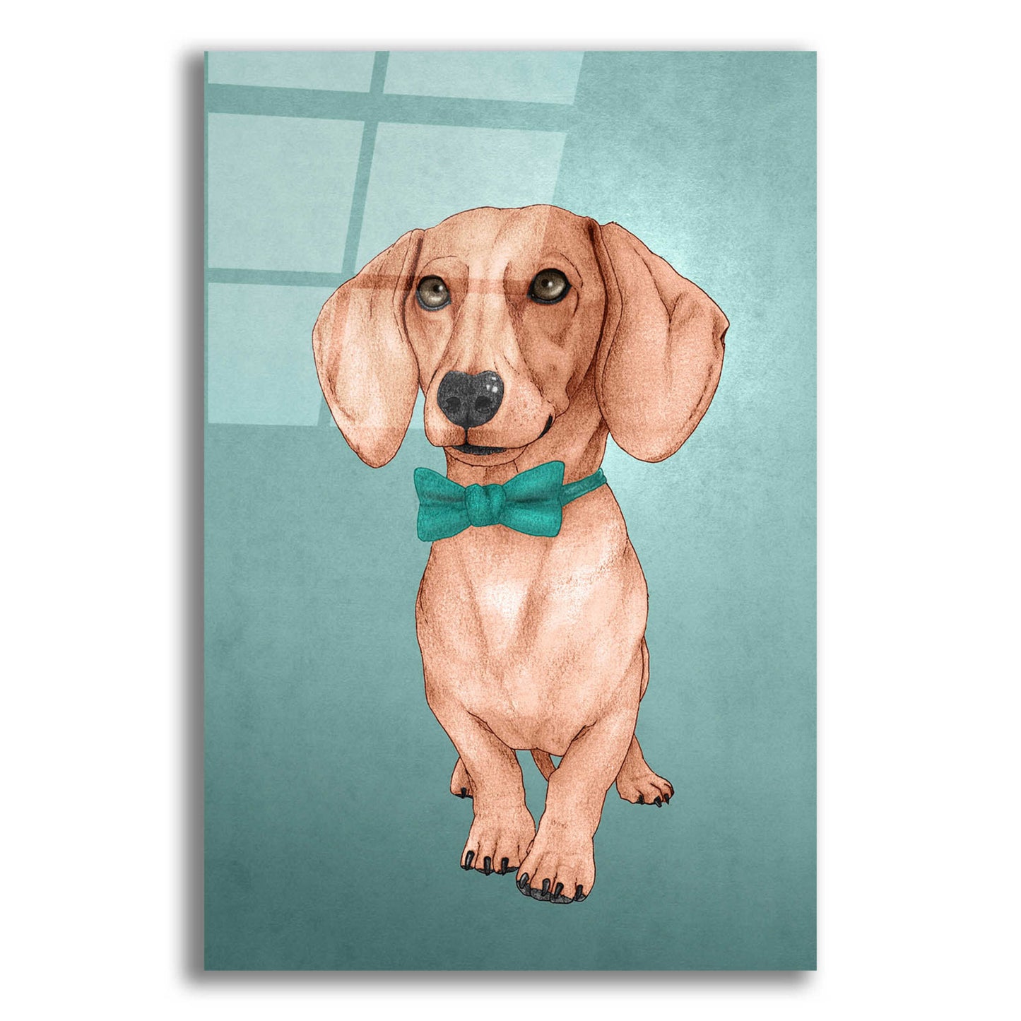 Epic Art 'The Wiener Dog' by Barruf Acrylic Glass Wall Art,12x16