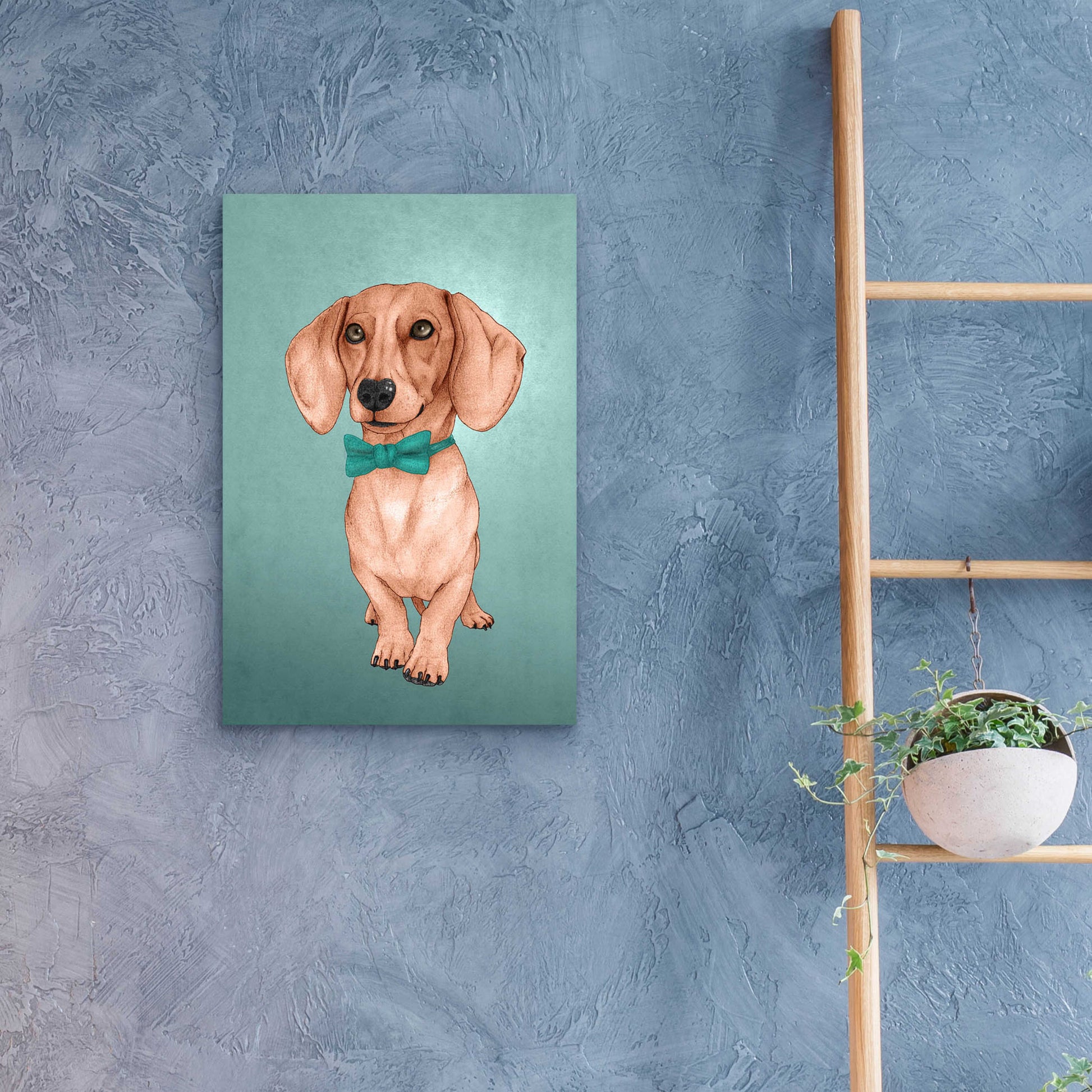 Epic Art 'The Wiener Dog' by Barruf Acrylic Glass Wall Art,16x24