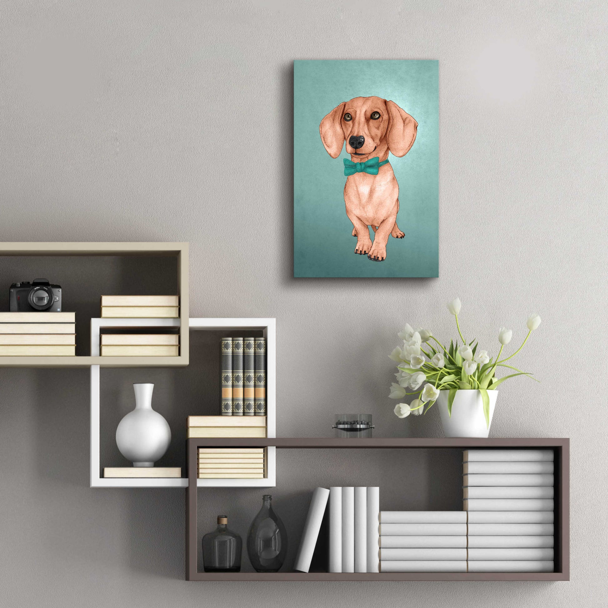 Epic Art 'The Wiener Dog' by Barruf Acrylic Glass Wall Art,16x24