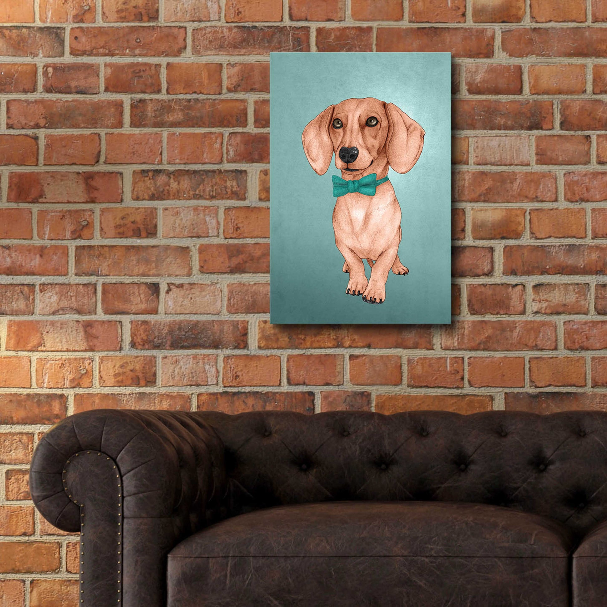 Epic Art 'The Wiener Dog' by Barruf Acrylic Glass Wall Art,16x24