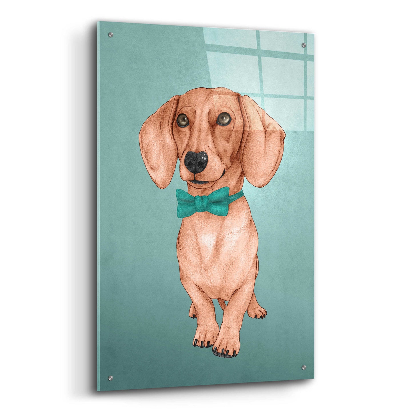 Epic Art 'The Wiener Dog' by Barruf Acrylic Glass Wall Art,24x36