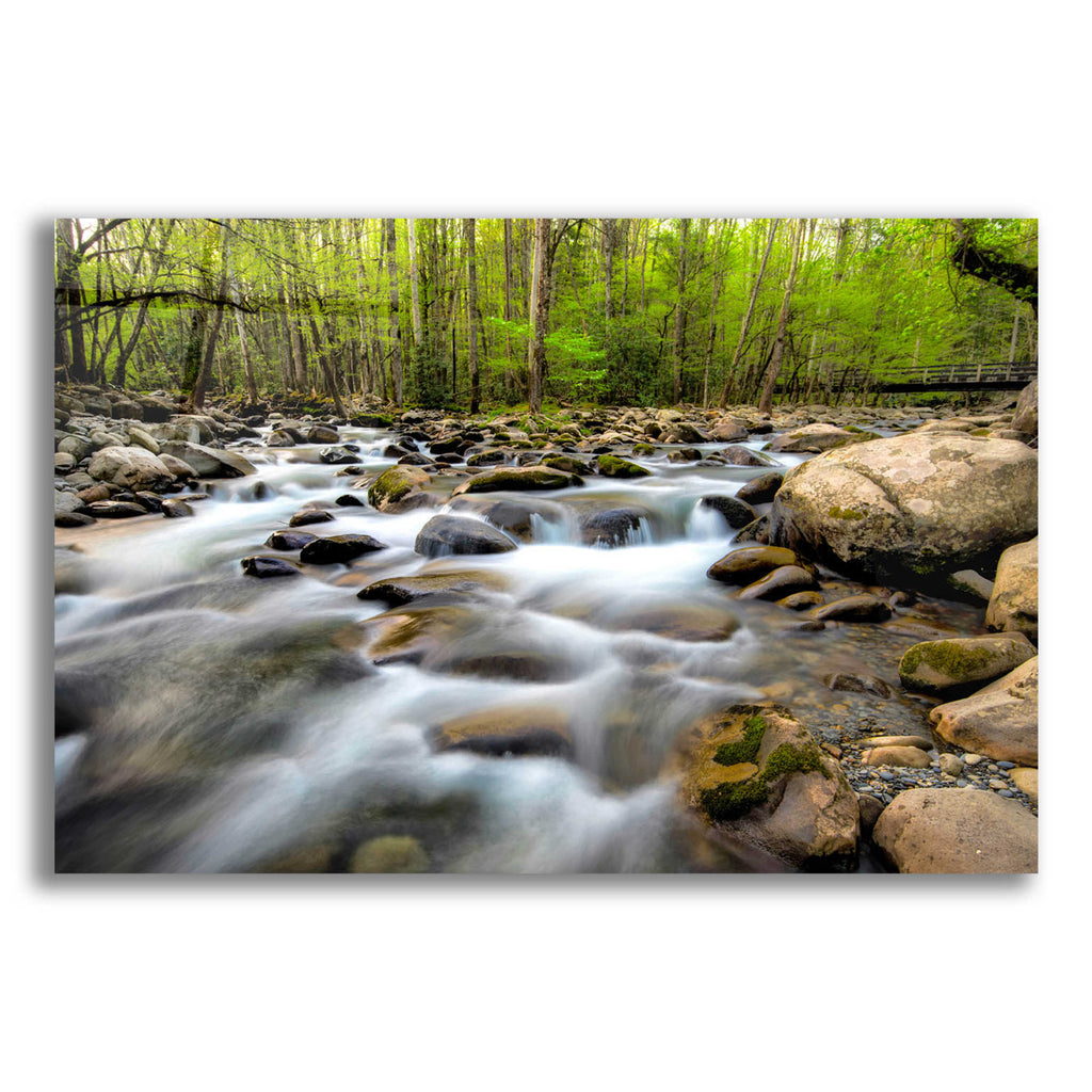 Epic Art 'Below the Bridge' by Daniel Burt Acrylic Glass Wall Art