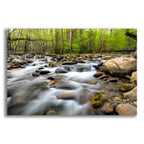Epic Art 'Below the Bridge' by Daniel Burt Acrylic Glass Wall Art