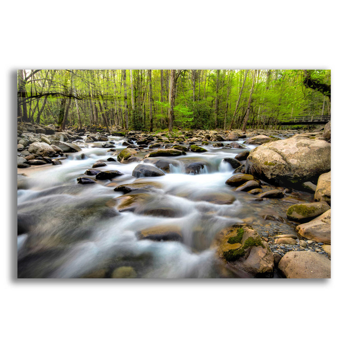 Epic Art 'Below the Bridge' by Daniel Burt Acrylic Glass Wall Art