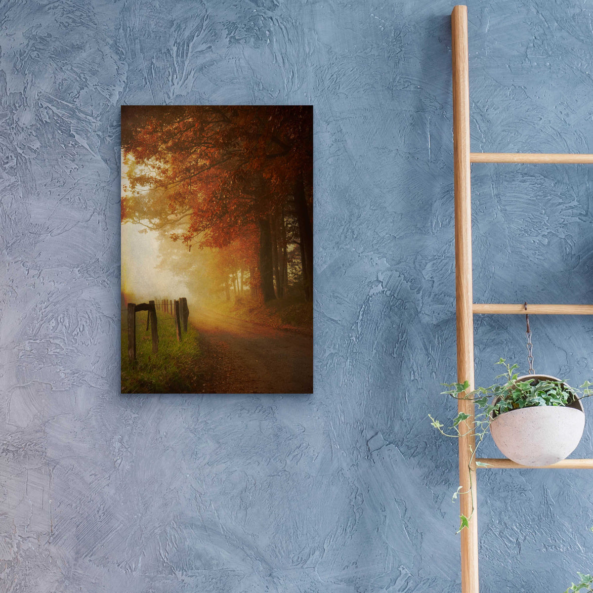 Epic Art 'Come to the Light' by Daniel Burt Acrylic Glass Wall Art,16x24