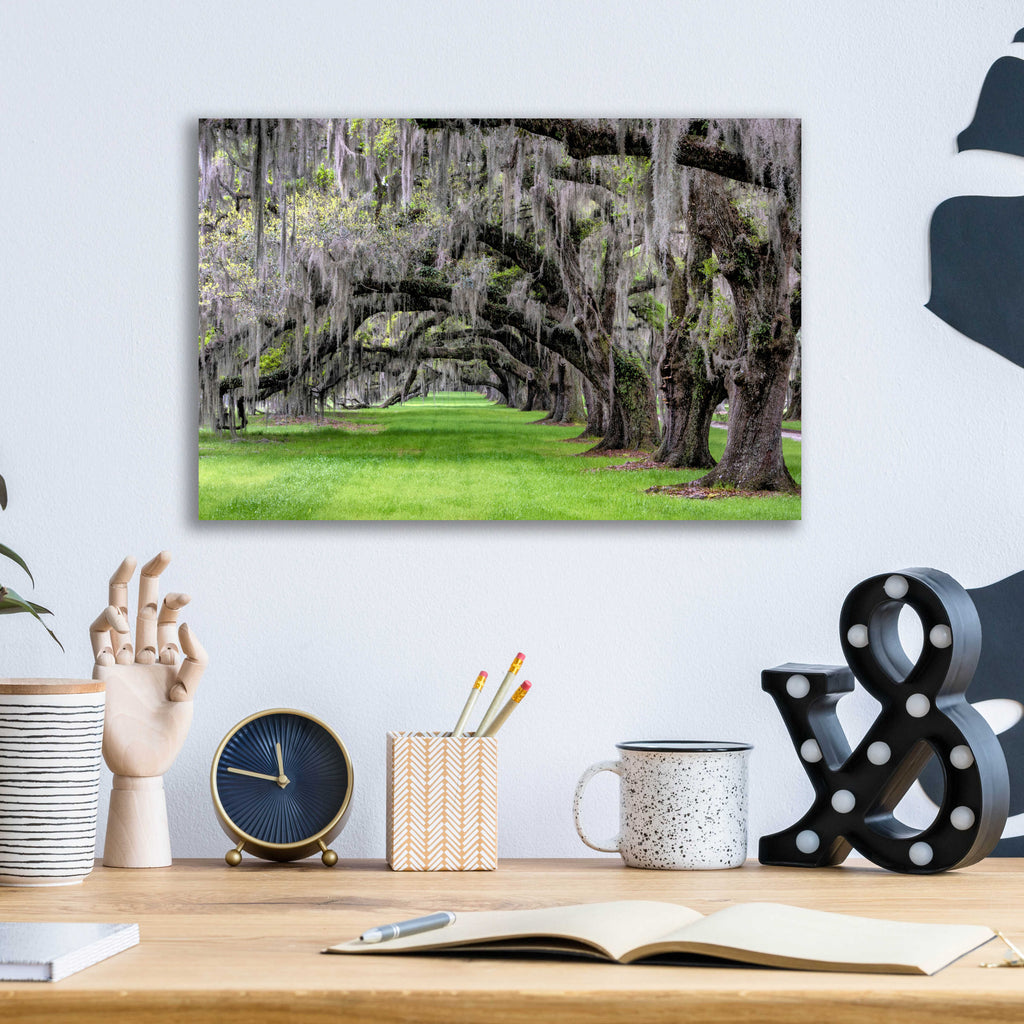 Epic Art 'Hanging to the Left' by Daniel Burt Acrylic Glass Wall Art,16x12