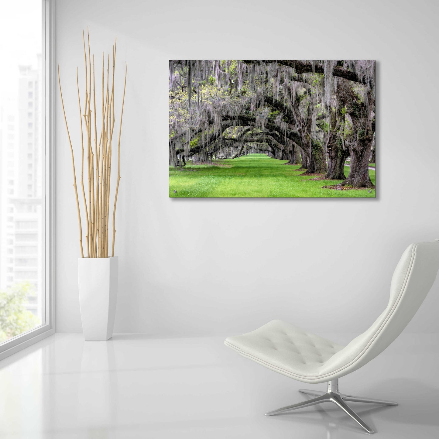 Epic Art 'Hanging to the Left' by Daniel Burt Acrylic Glass Wall Art,36x24