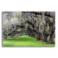 Epic Art 'Hanging to the Left' by Daniel Burt Acrylic Glass Wall Art