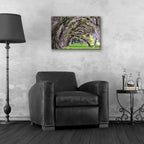 Epic Art 'Hanging to the Right' by Daniel Burt Acrylic Glass Wall Art,24x16