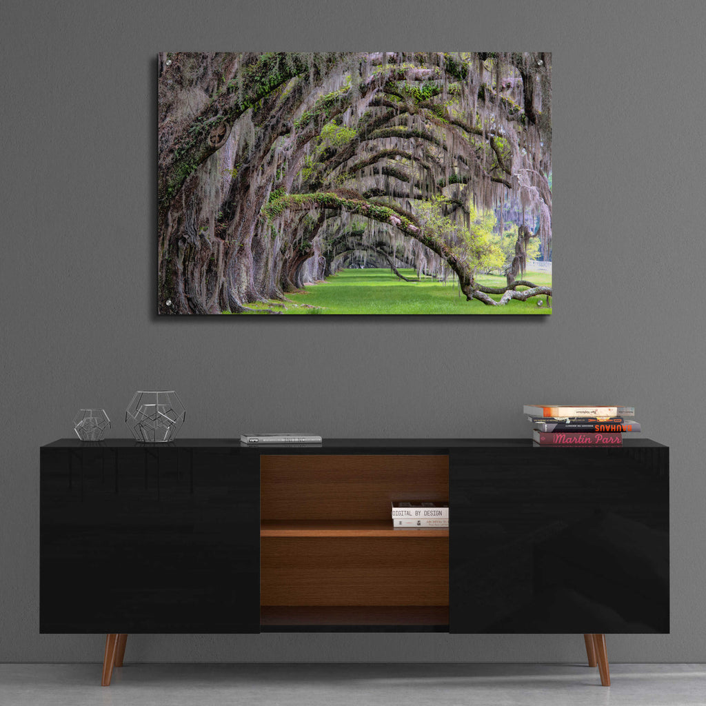 Epic Art 'Hanging to the Right' by Daniel Burt Acrylic Glass Wall Art,36x24