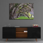 Epic Art 'Hanging to the Right' by Daniel Burt Acrylic Glass Wall Art,36x24