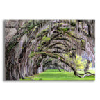 Epic Art 'Hanging to the Right' by Daniel Burt Acrylic Glass Wall Art