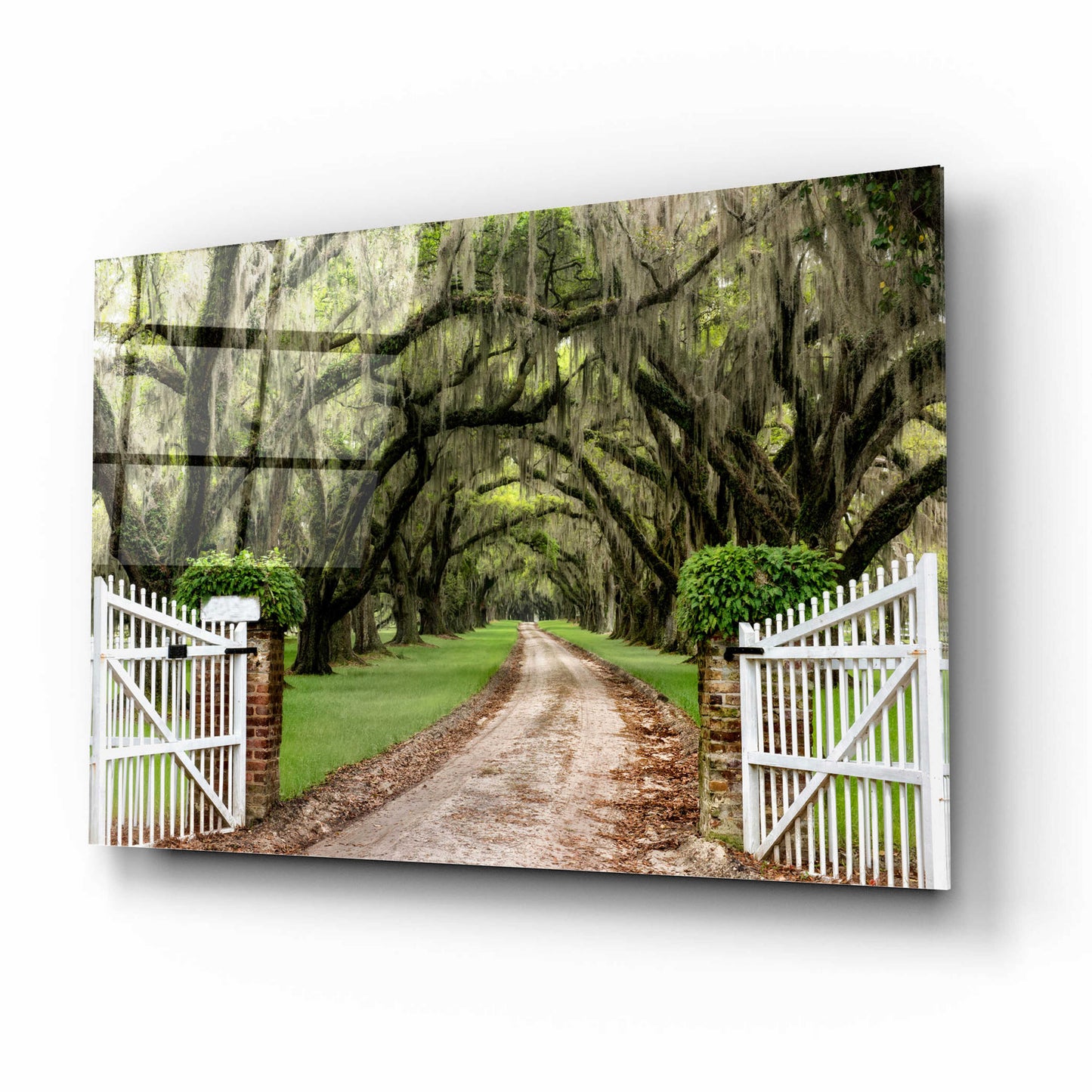 Epic Art 'Plantation Road' by Daniel Burt Acrylic Glass Wall Art,16x12