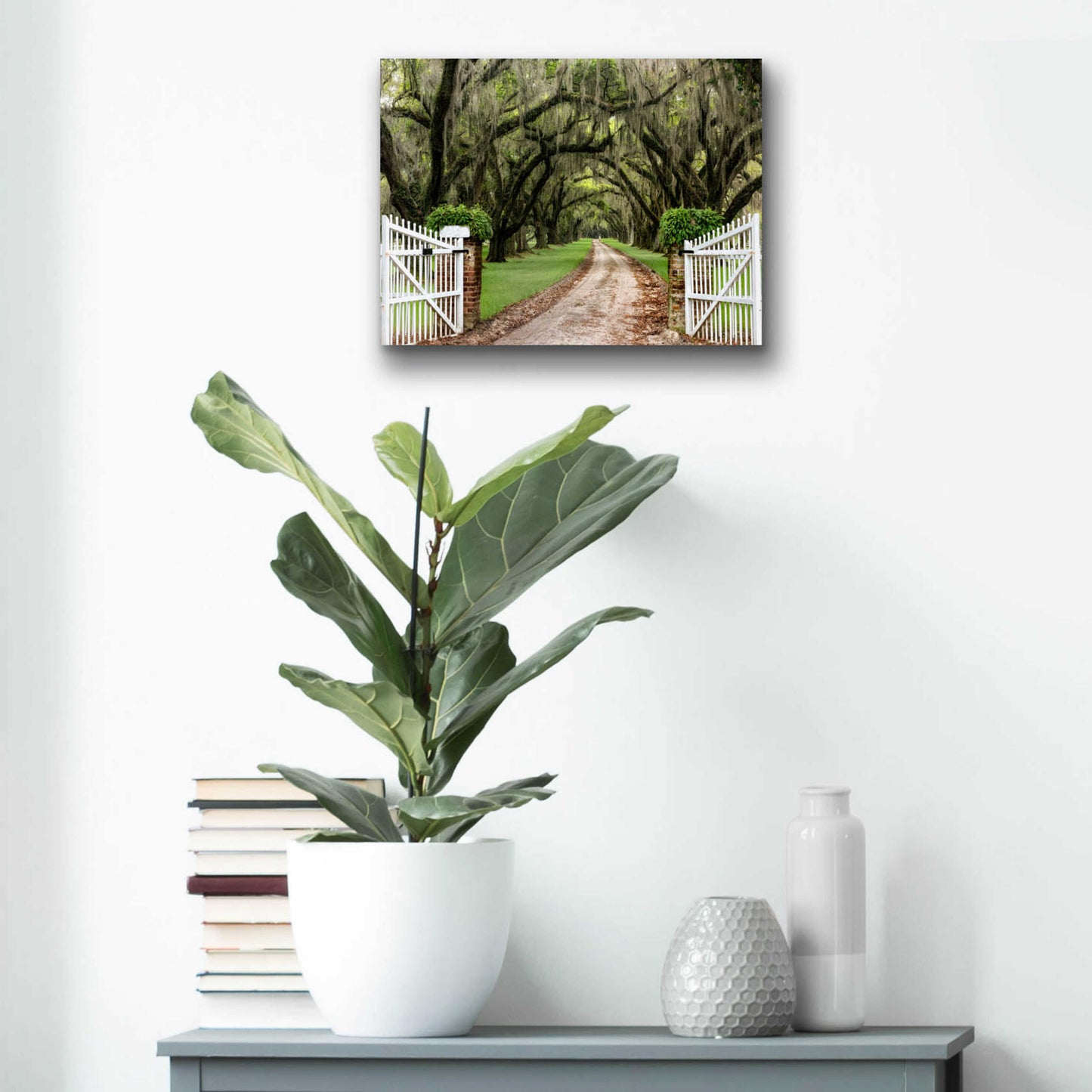 Epic Art 'Plantation Road' by Daniel Burt Acrylic Glass Wall Art,16x12