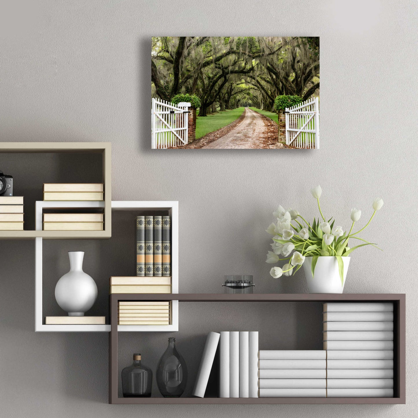 Epic Art 'Plantation Road' by Daniel Burt Acrylic Glass Wall Art,24x16