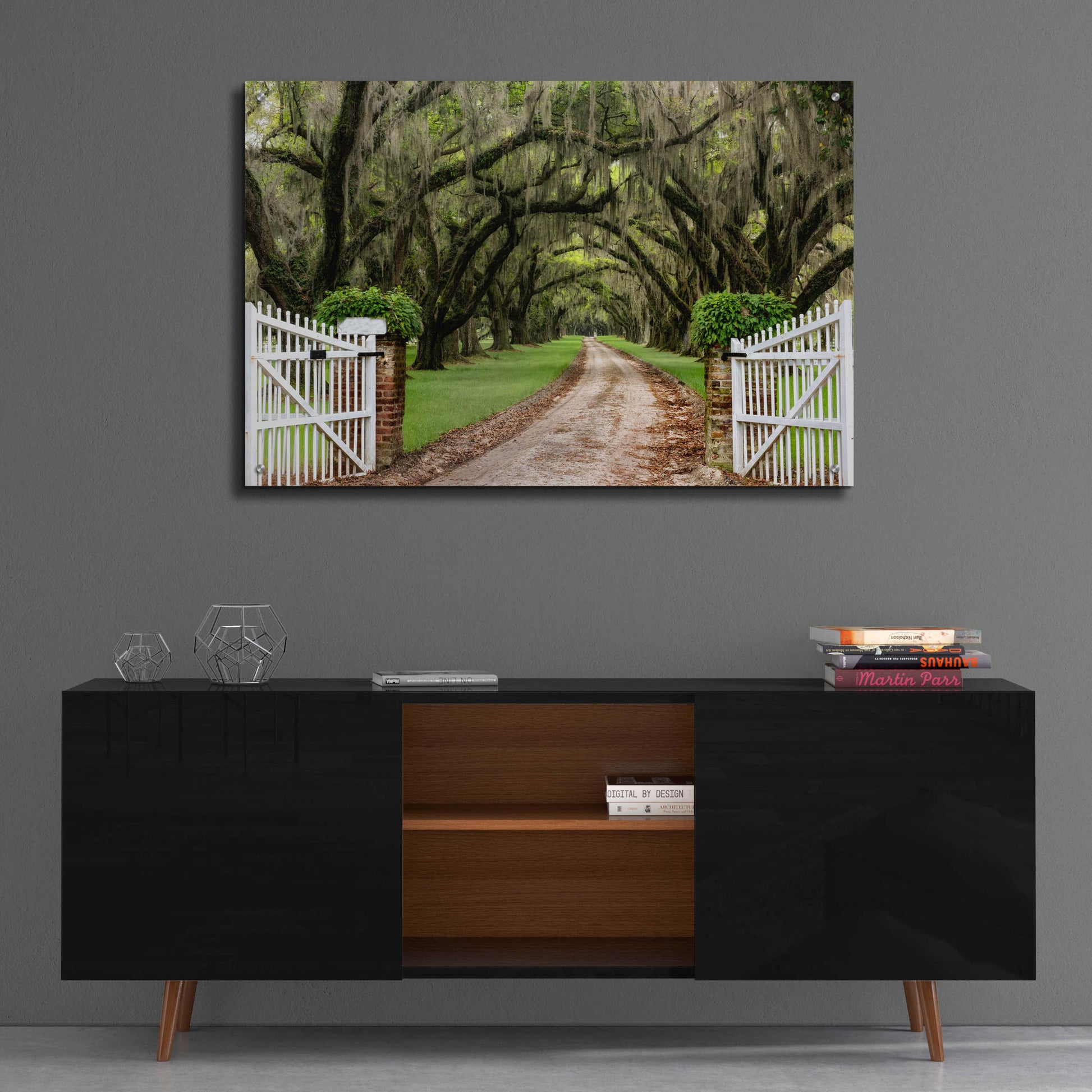 Epic Art 'Plantation Road' by Daniel Burt Acrylic Glass Wall Art,36x24