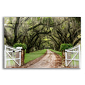 Epic Art 'Plantation Road' by Daniel Burt Acrylic Glass Wall Art