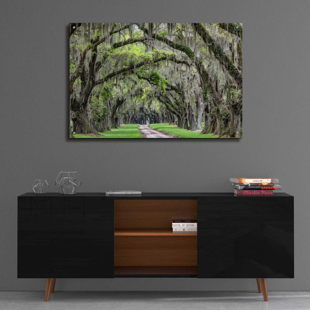 Epic Art 'The Old South' by Daniel Burt Acrylic Glass Wall Art,36x24