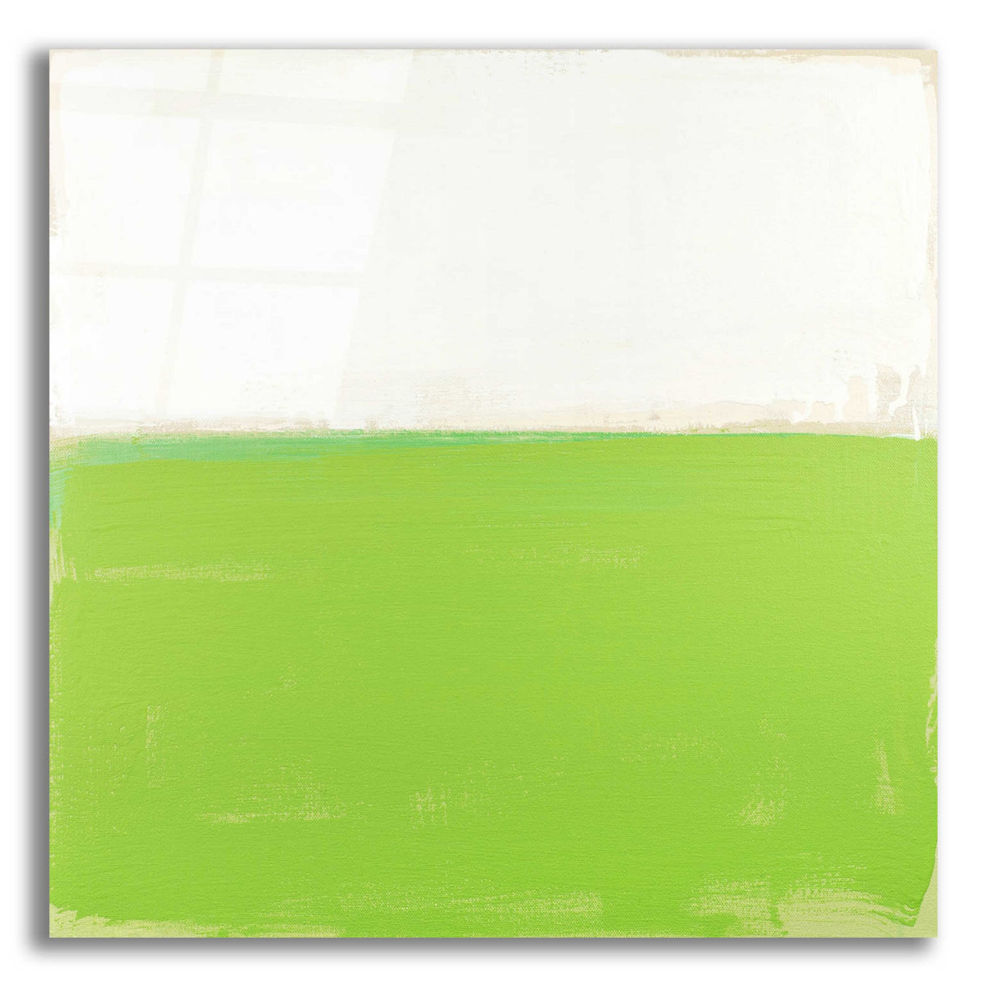 Epic Art 'Fresh Green' by Don Bishop Acrylic Glass Wall Art