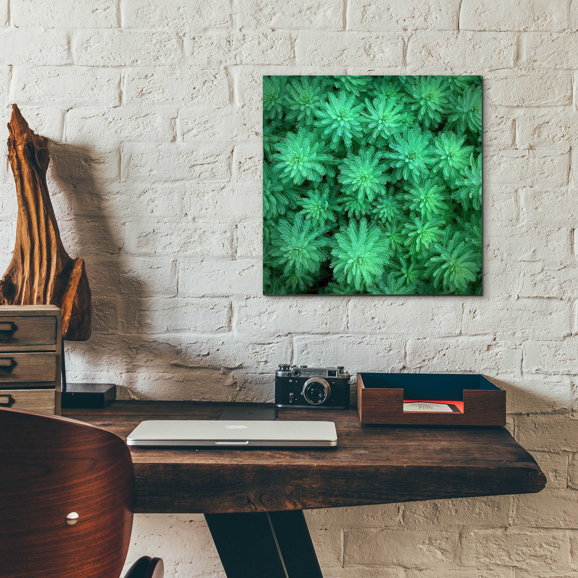 Epic Art 'Sea Green' by Jan Bell Acrylic Glass Wall Art,12x12