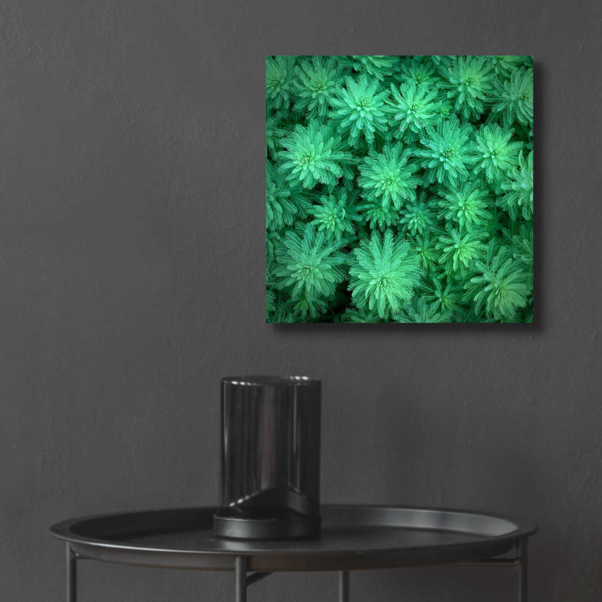 Epic Art 'Sea Green' by Jan Bell Acrylic Glass Wall Art,12x12