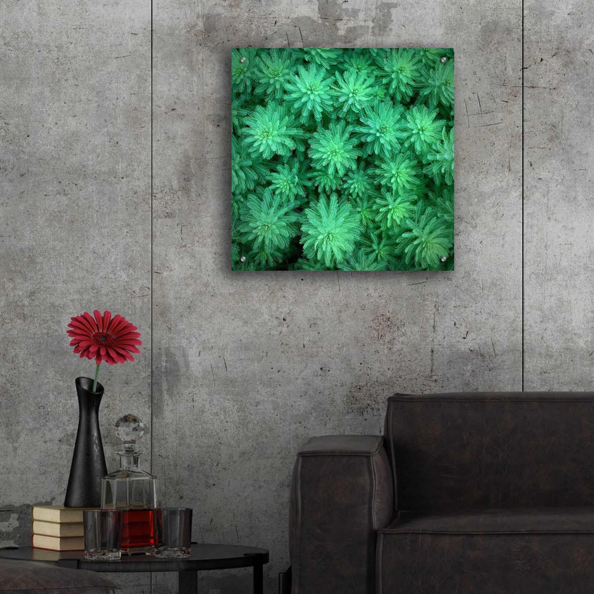 Epic Art 'Sea Green' by Jan Bell Acrylic Glass Wall Art,24x24