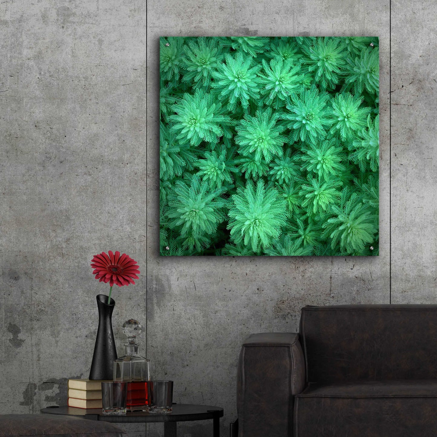 Epic Art 'Sea Green' by Jan Bell Acrylic Glass Wall Art,36x36