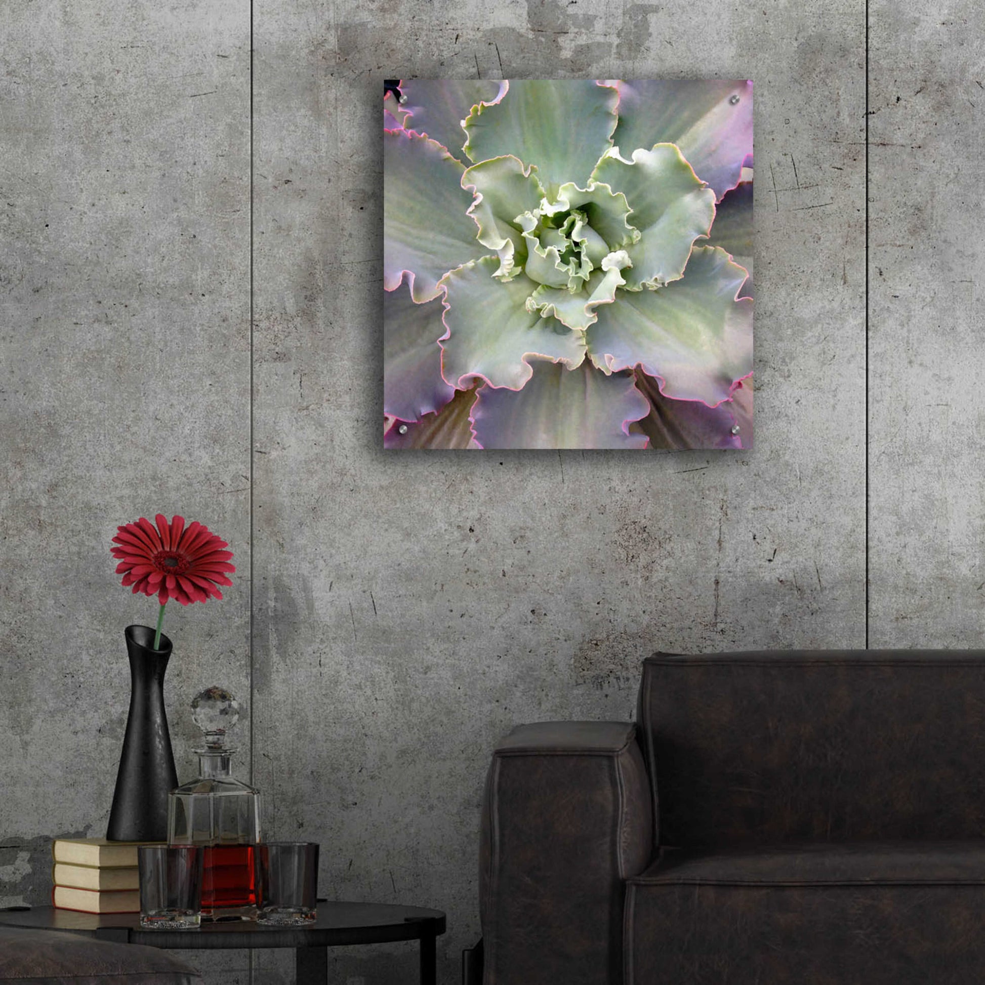 Epic Art 'Soft Petals' by Jan Bell Acrylic Glass Wall Art,24x24