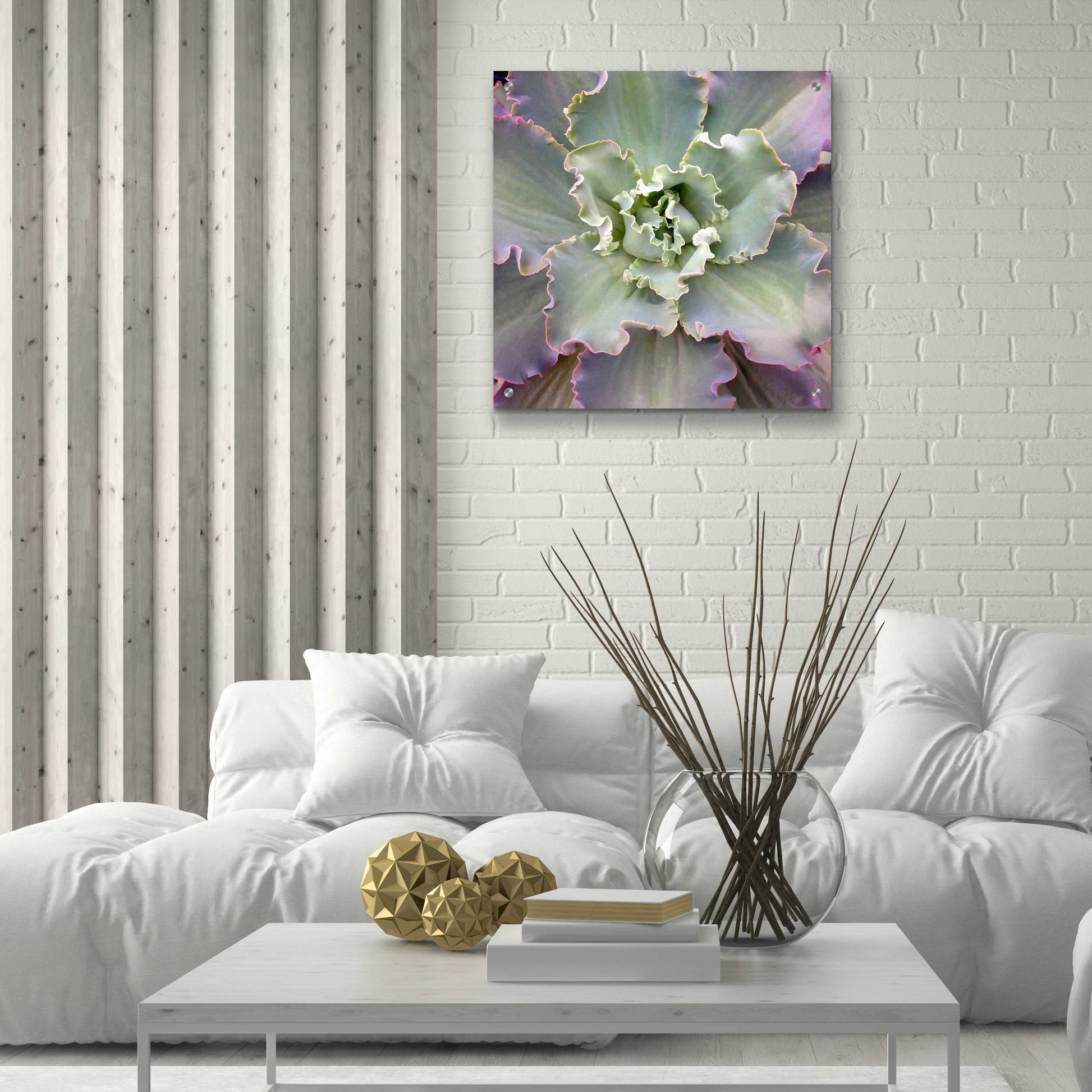 Epic Art 'Soft Petals' by Jan Bell Acrylic Glass Wall Art,24x24