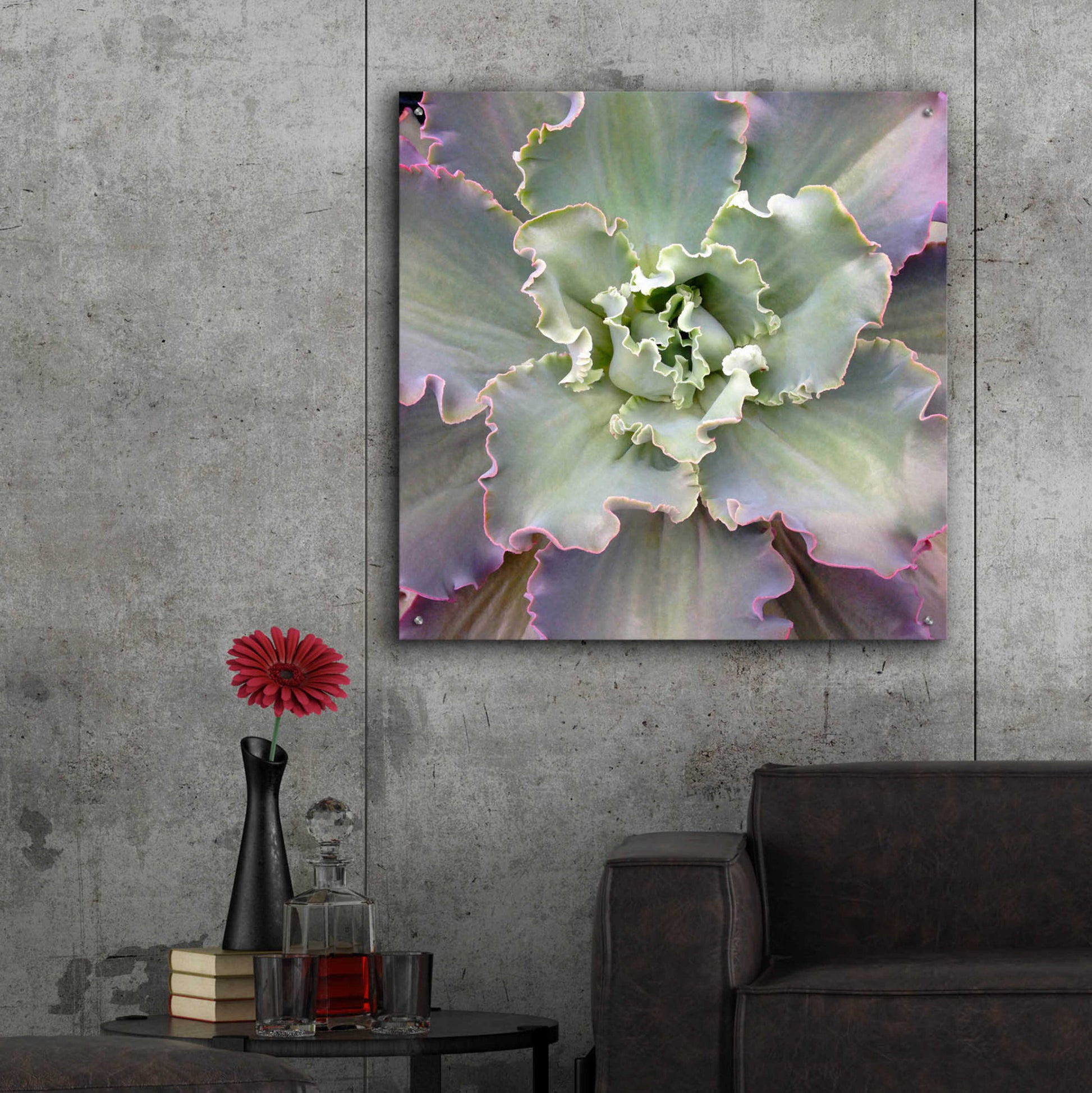 Epic Art 'Soft Petals' by Jan Bell Acrylic Glass Wall Art,36x36