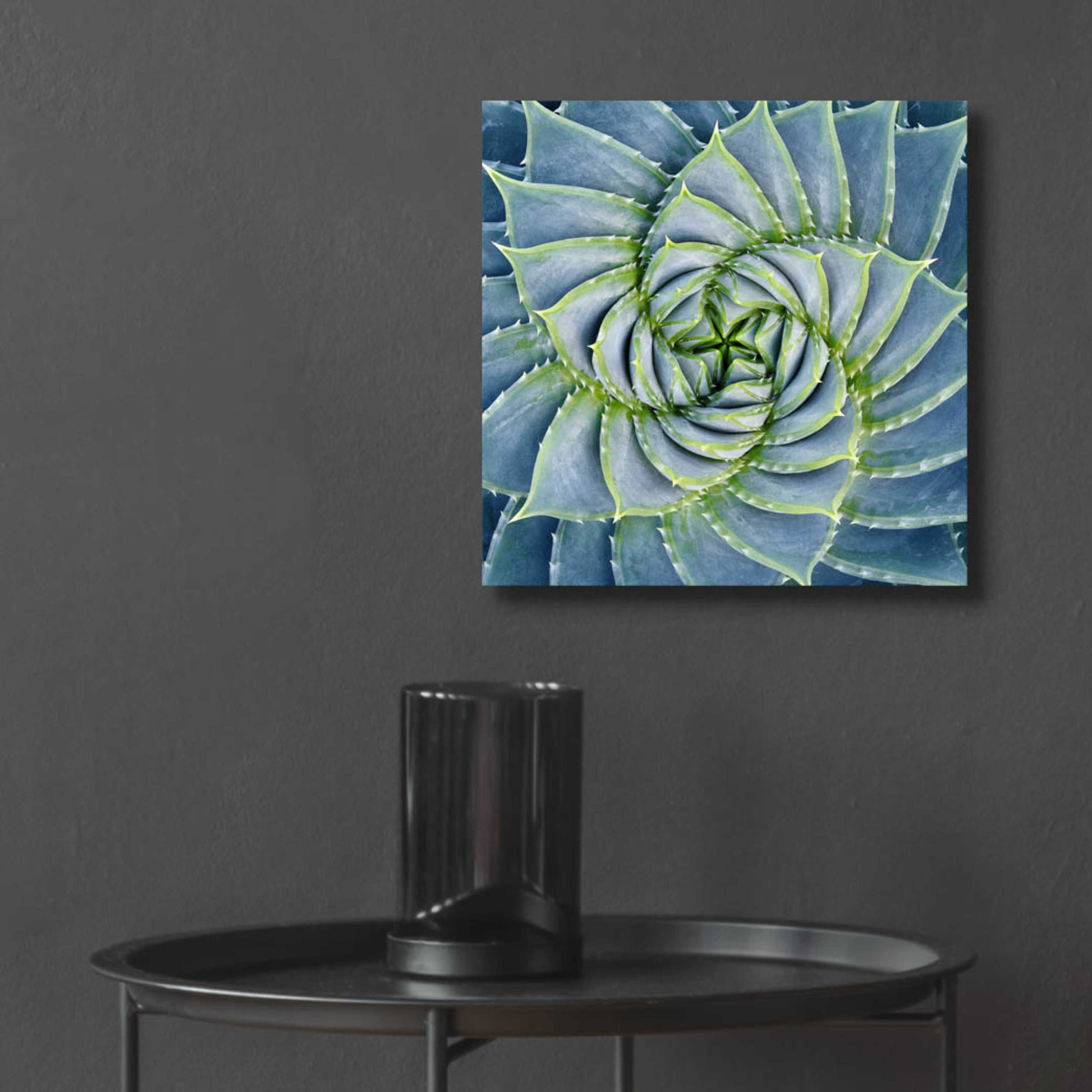 Epic Art 'Spiral Succulent' by Jan Bell Acrylic Glass Wall Art,12x12