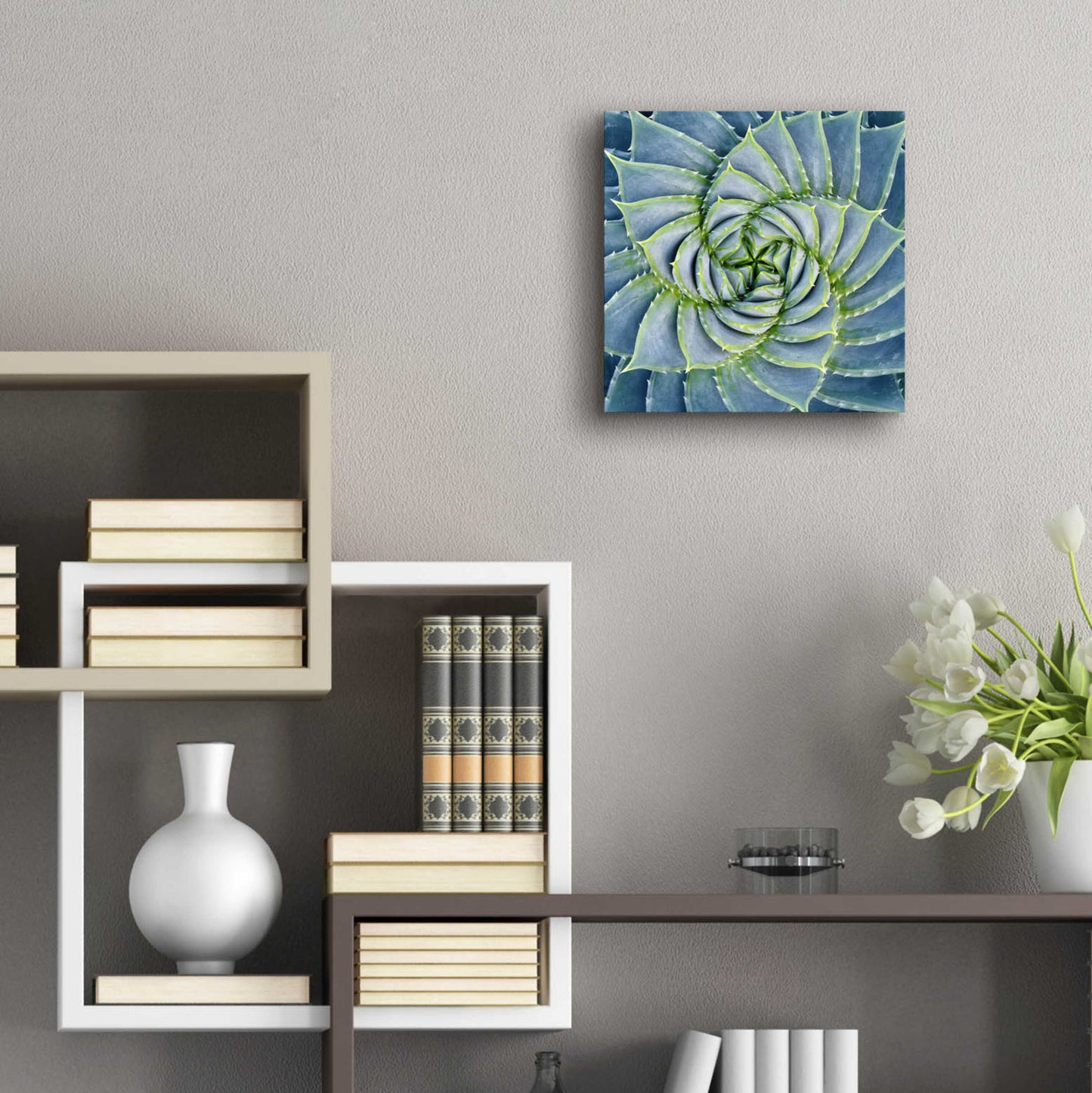 Epic Art 'Spiral Succulent' by Jan Bell Acrylic Glass Wall Art,12x12