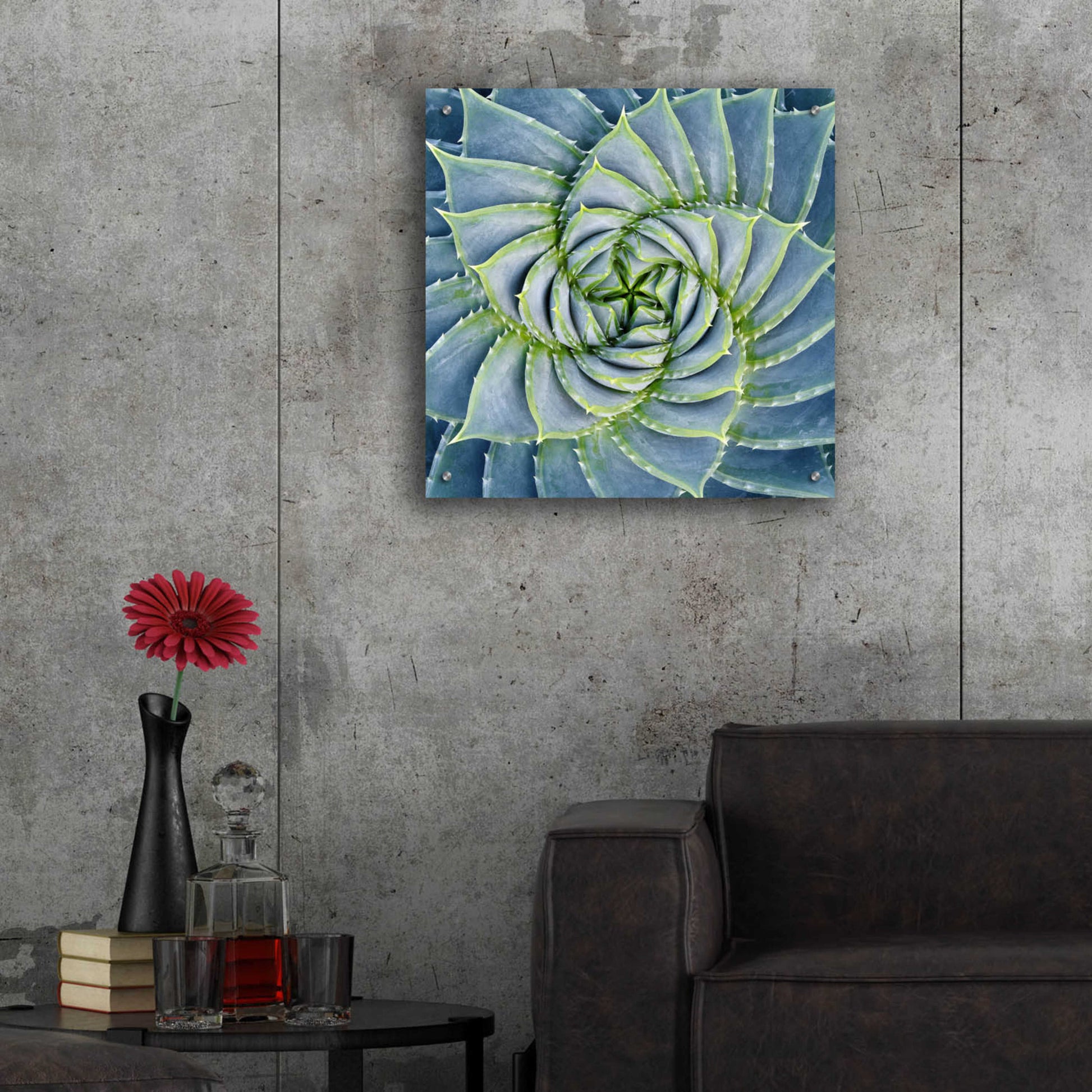 Epic Art 'Spiral Succulent' by Jan Bell Acrylic Glass Wall Art,24x24