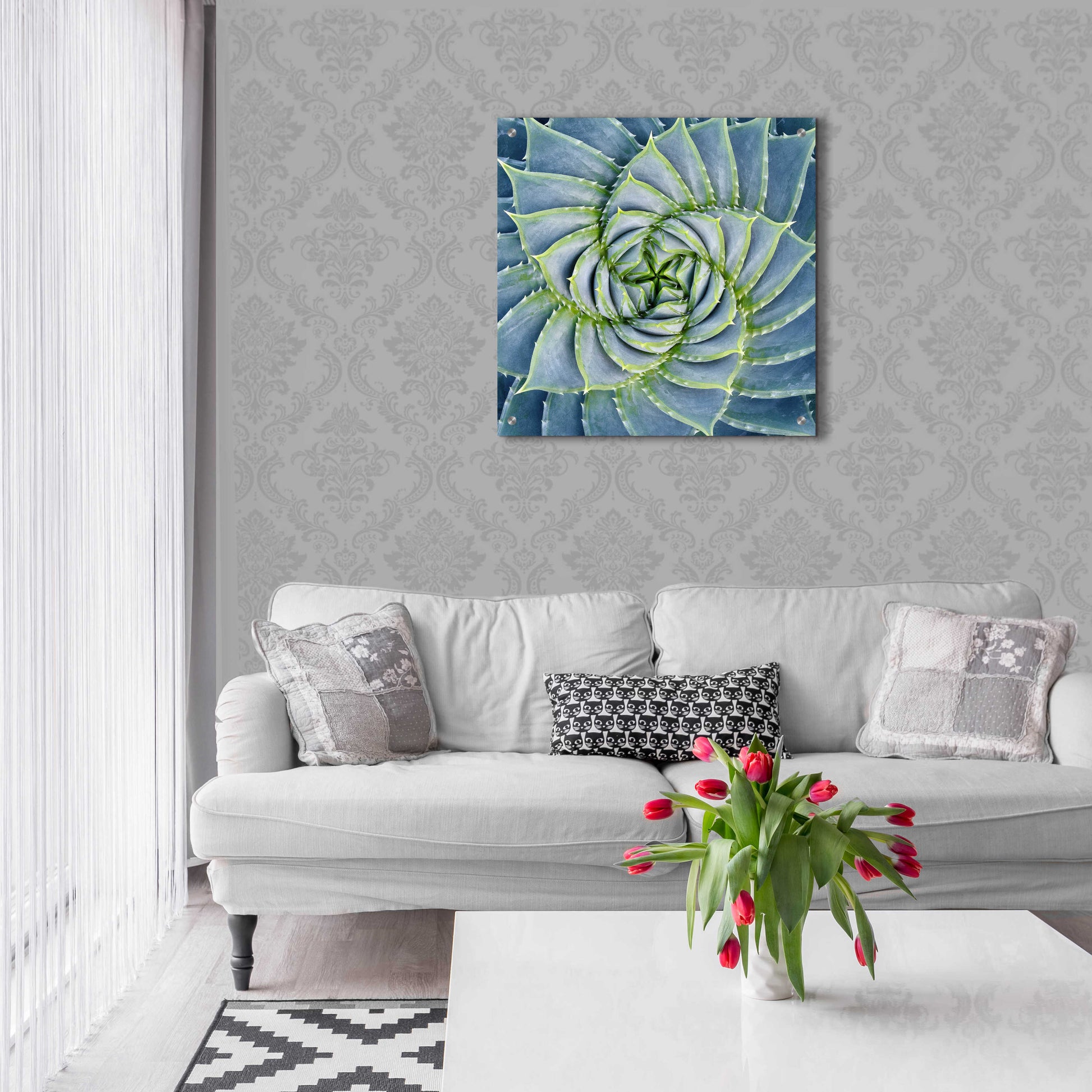 Epic Art 'Spiral Succulent' by Jan Bell Acrylic Glass Wall Art,24x24