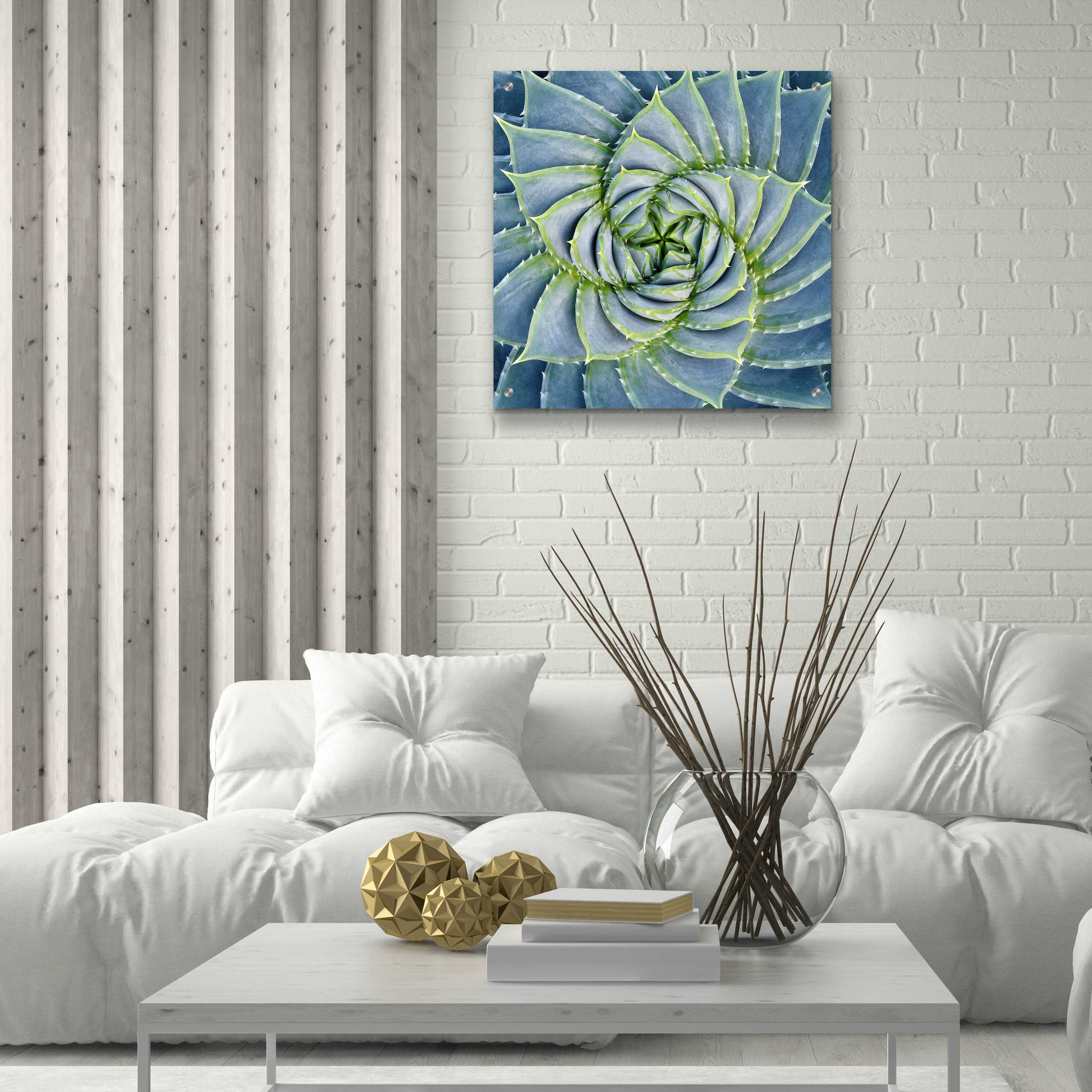 Epic Art 'Spiral Succulent' by Jan Bell Acrylic Glass Wall Art,24x24