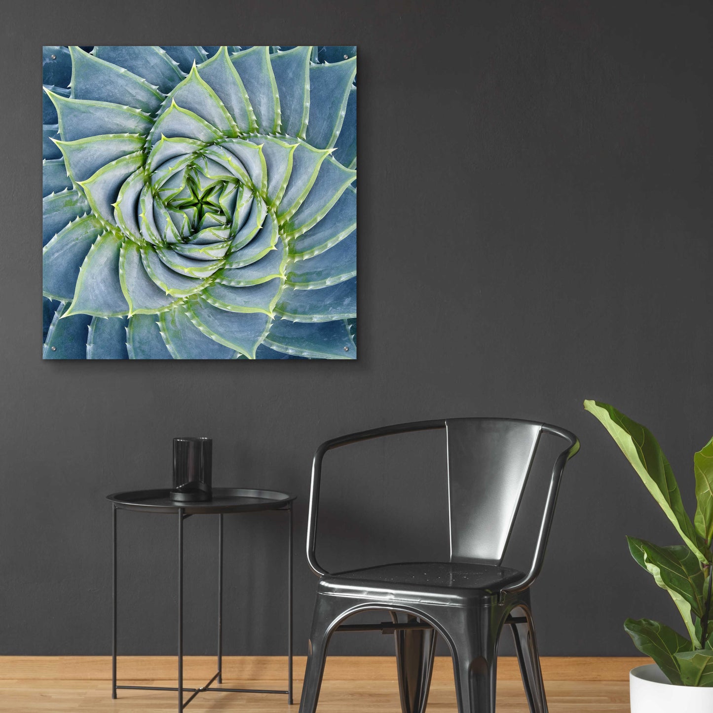 Epic Art 'Spiral Succulent' by Jan Bell Acrylic Glass Wall Art,36x36