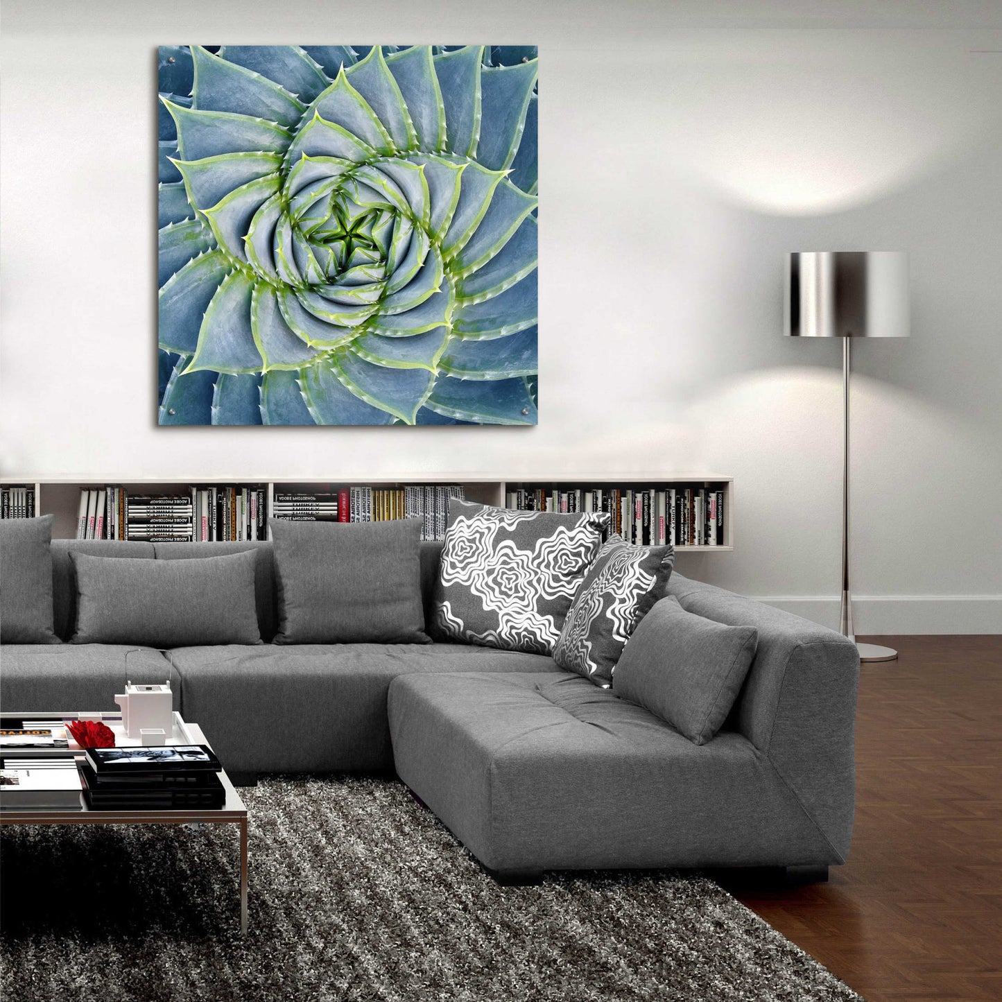 Epic Art 'Spiral Succulent' by Jan Bell Acrylic Glass Wall Art,36x36