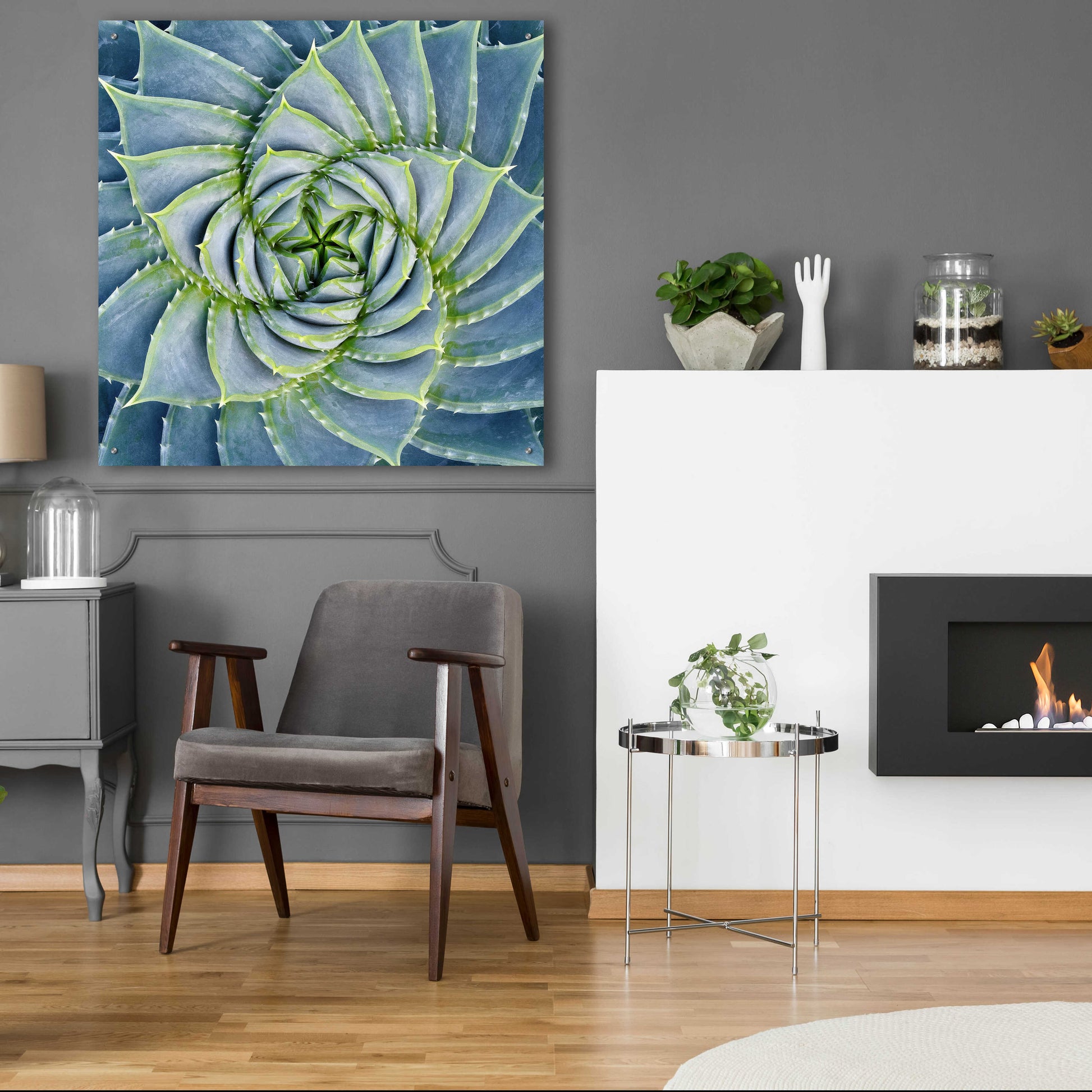 Epic Art 'Spiral Succulent' by Jan Bell Acrylic Glass Wall Art,36x36