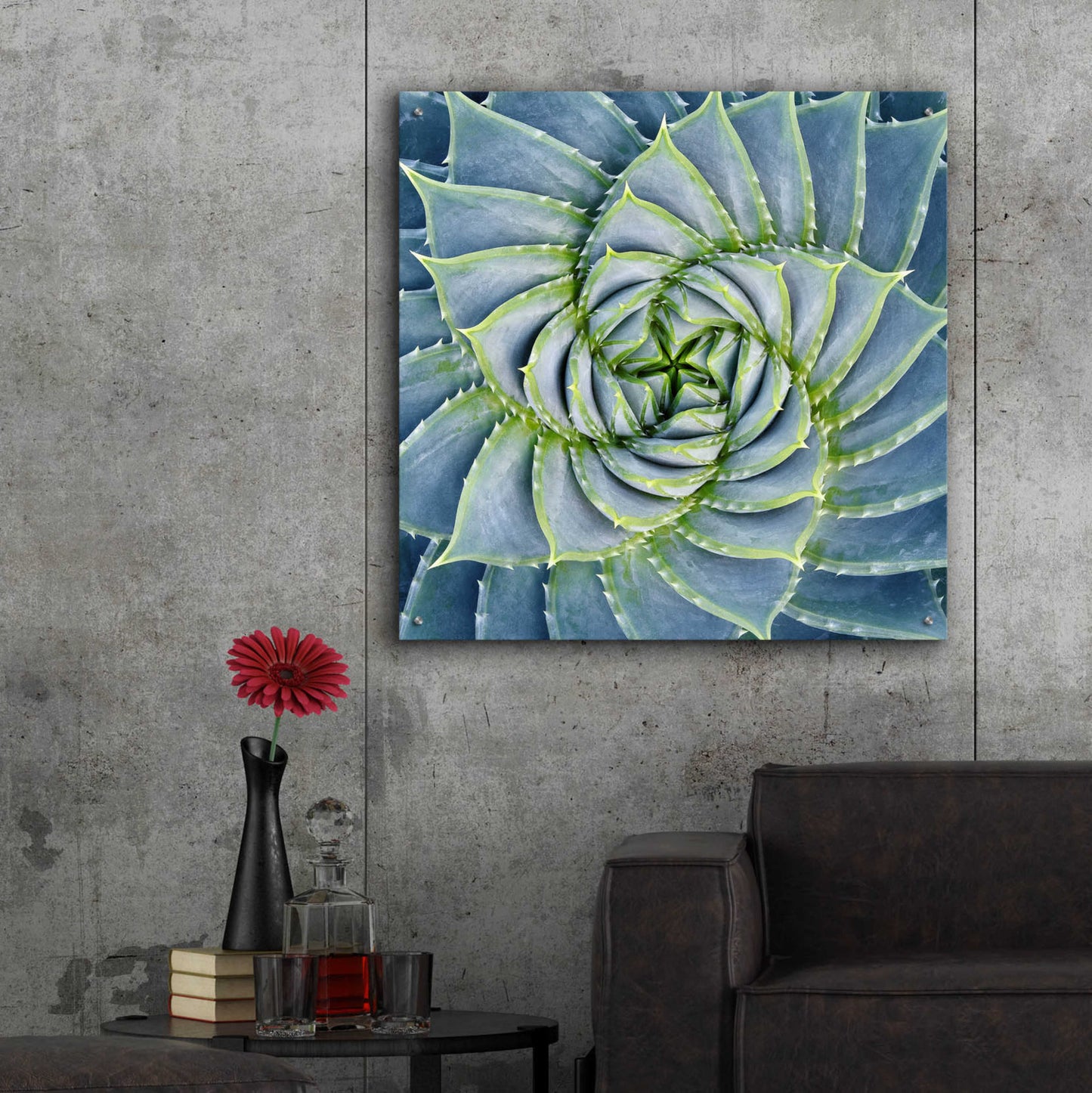 Epic Art 'Spiral Succulent' by Jan Bell Acrylic Glass Wall Art,36x36